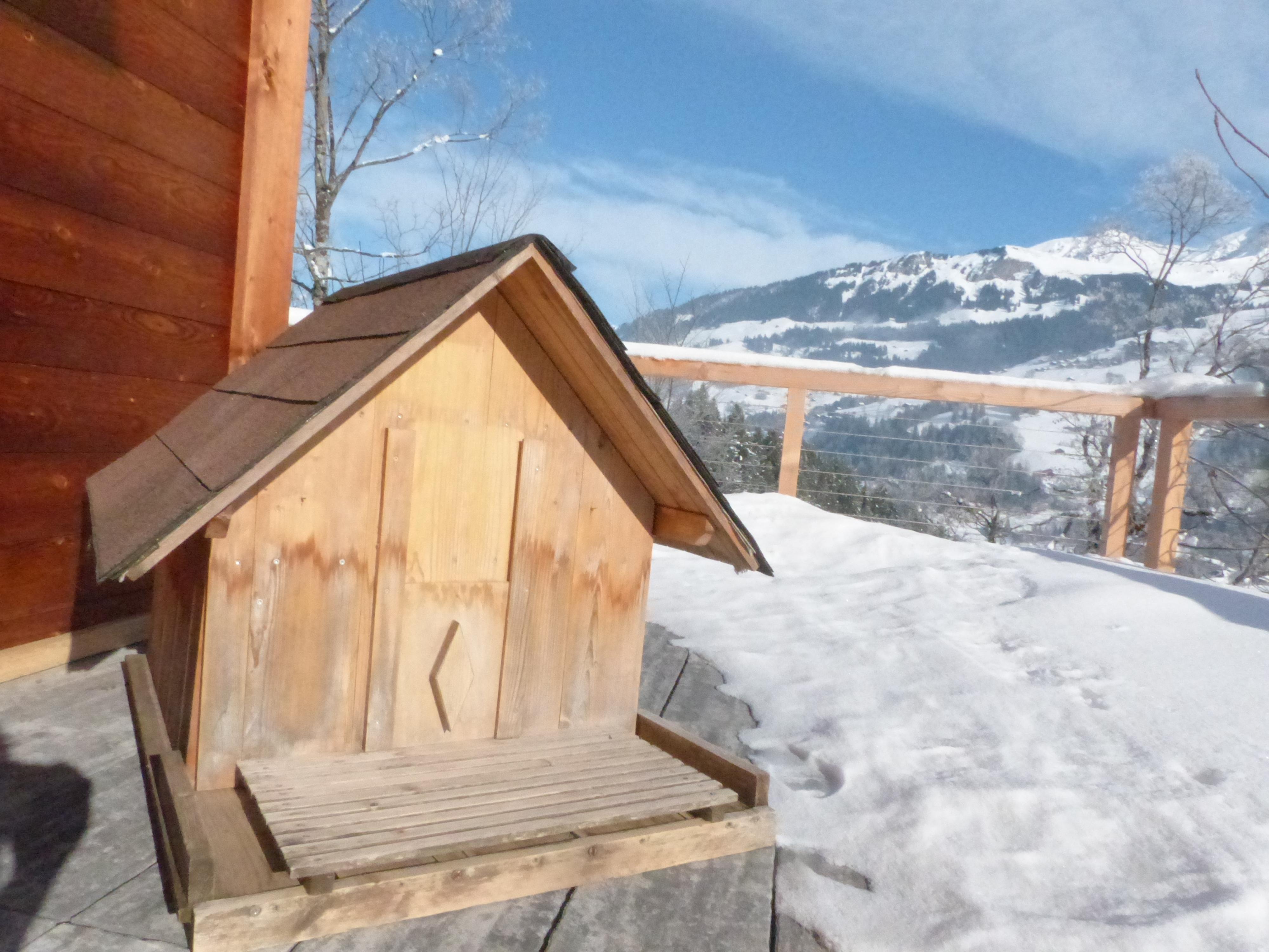 Hundehütte Hundehütte