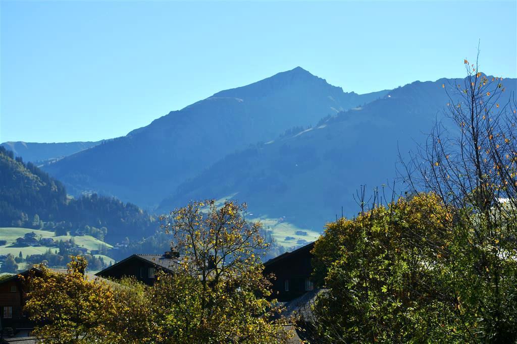 Aussicht 1 Aussicht 1