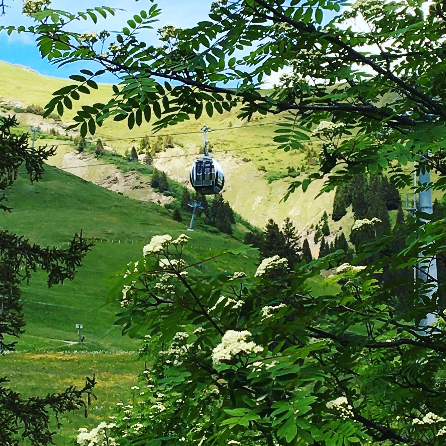 975921D7-8AB9-4D0D-9408-1956A2F61C37 975921D7-8AB9-4D0D-9408-1956A2F61C37