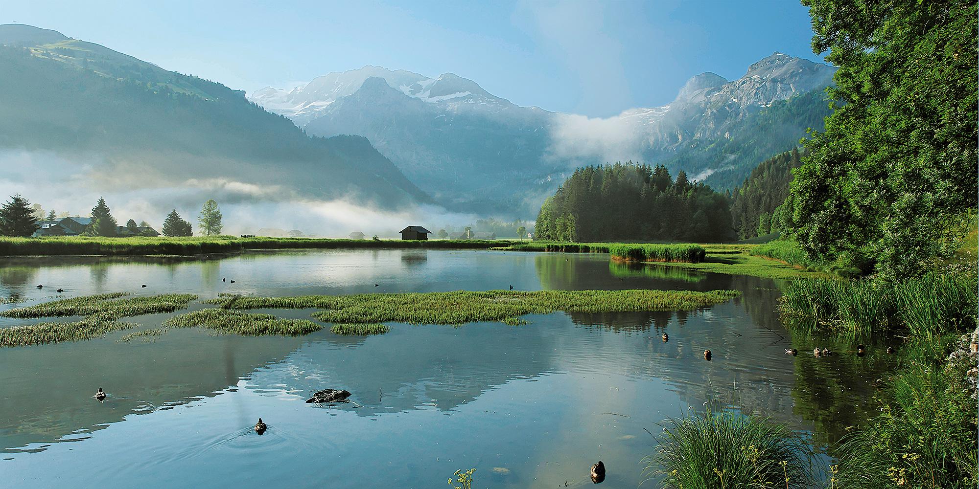 011_huh-lenk 011_huh-lenk