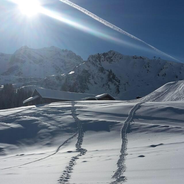 Ab auf die Piste Ab auf die Piste