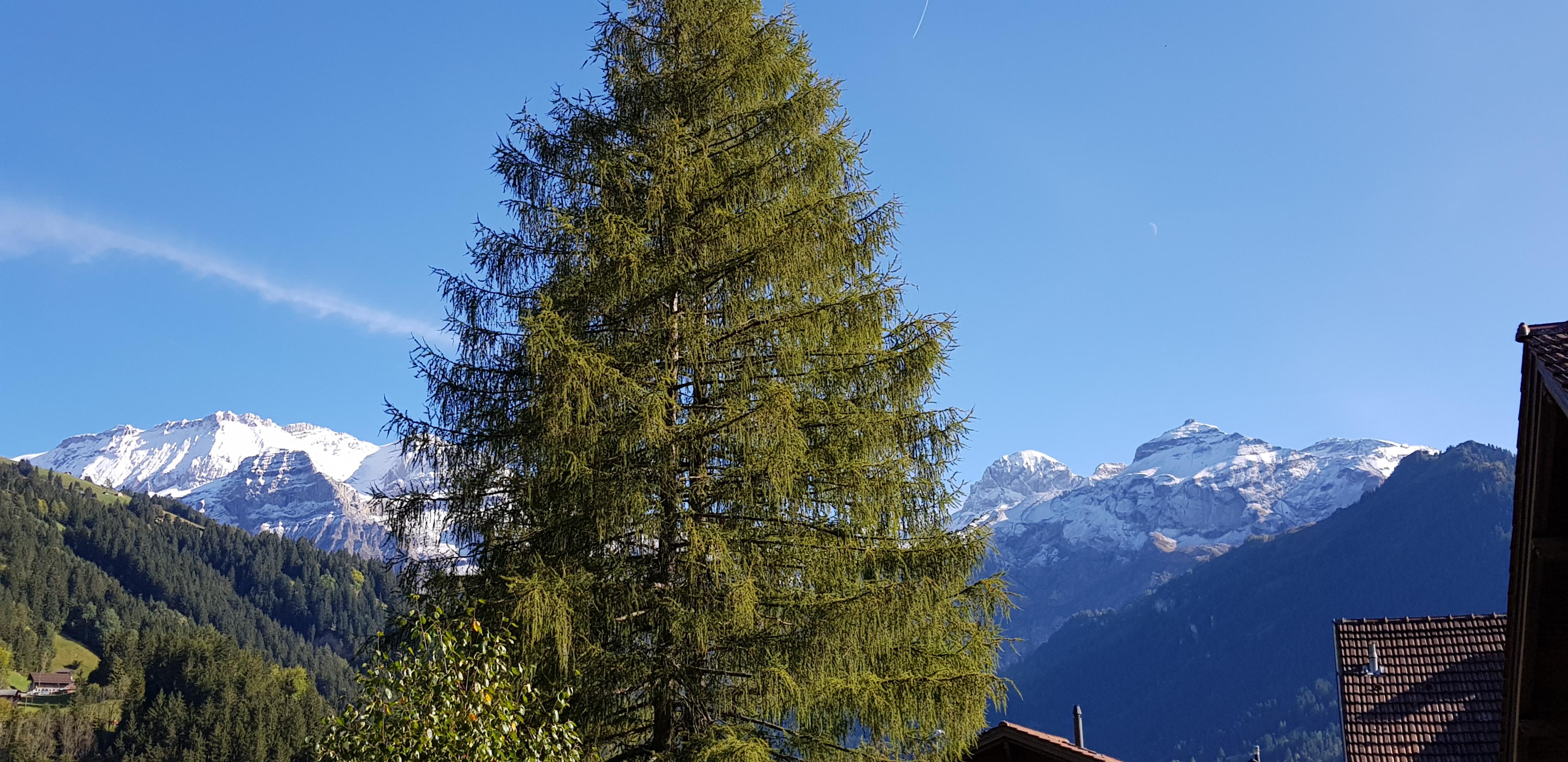 Prächtiger Herbst Prächtiger Herbst