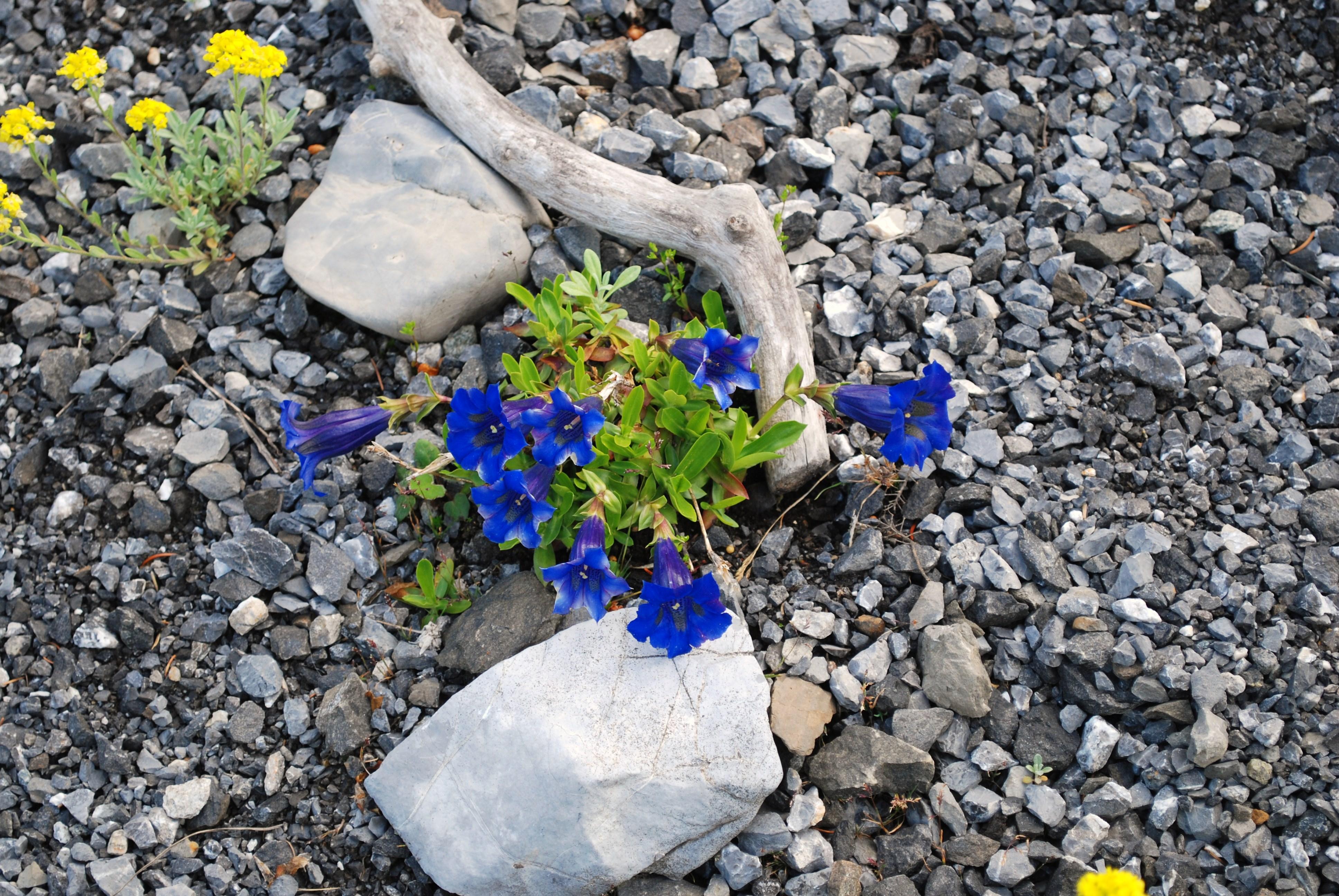 DSC_0050 (2) DSC_0050 (2)