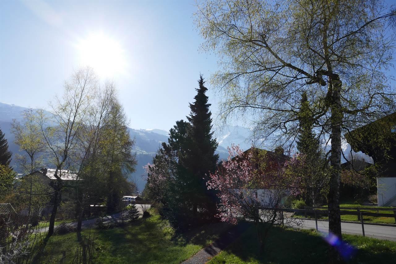 Aussicht_Frühling Aussicht_Frühling