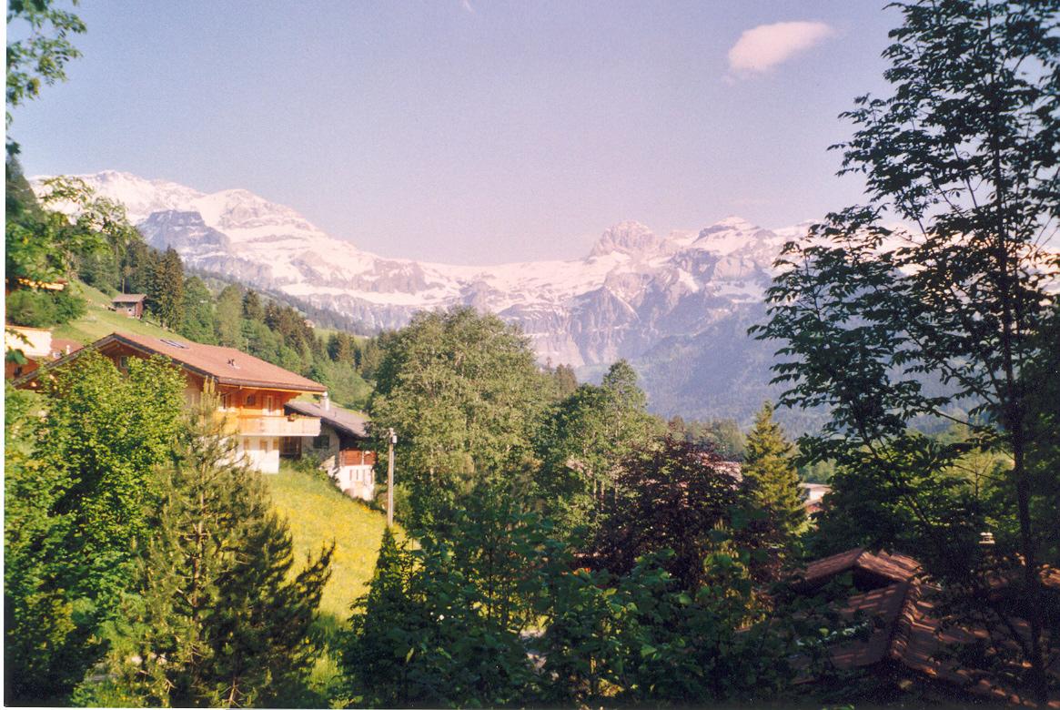 View Sommer View Sommer