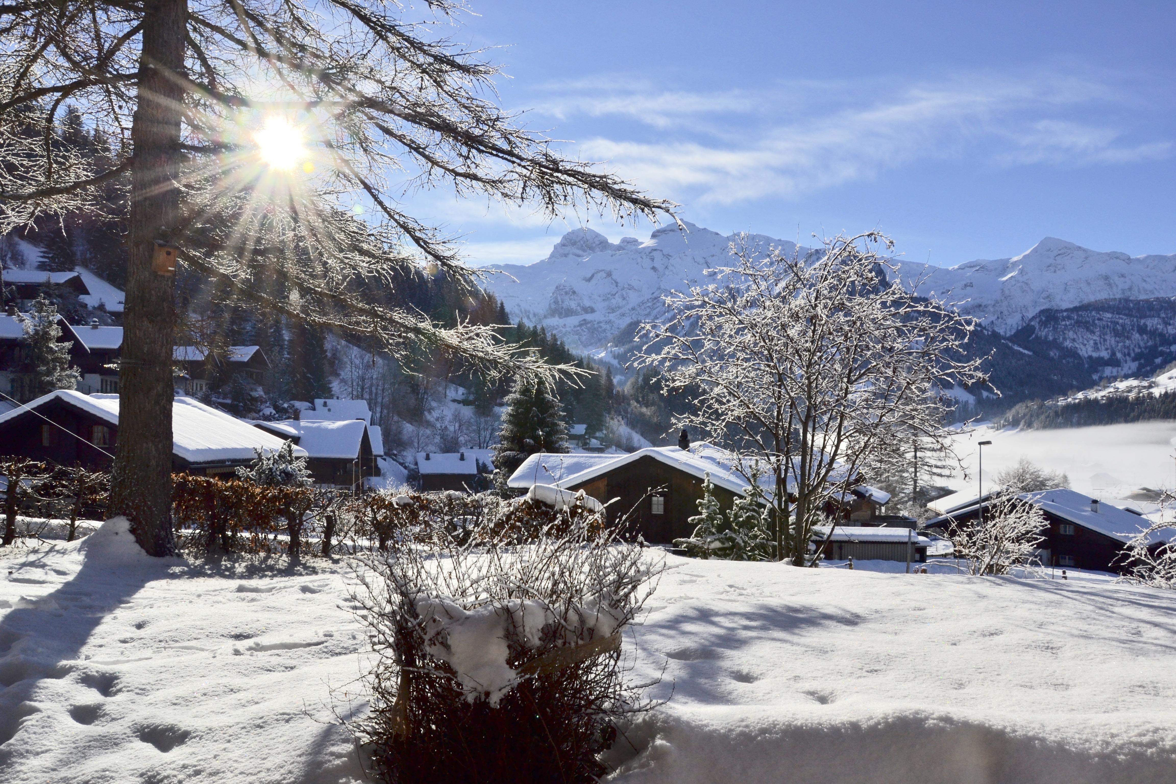 früh morgens früh morgens