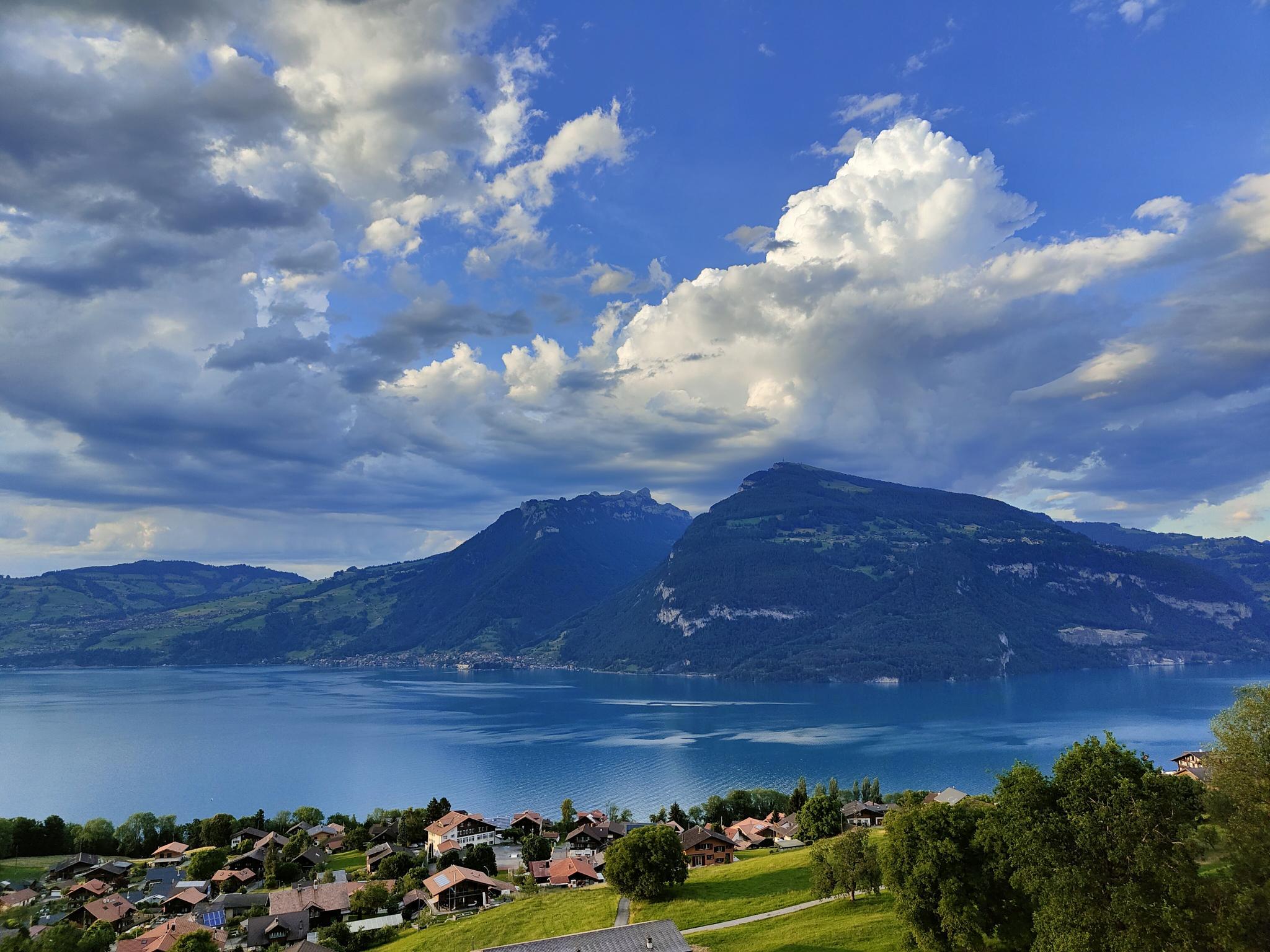 IMG20220612201713(1) IMG20220612201713(1)