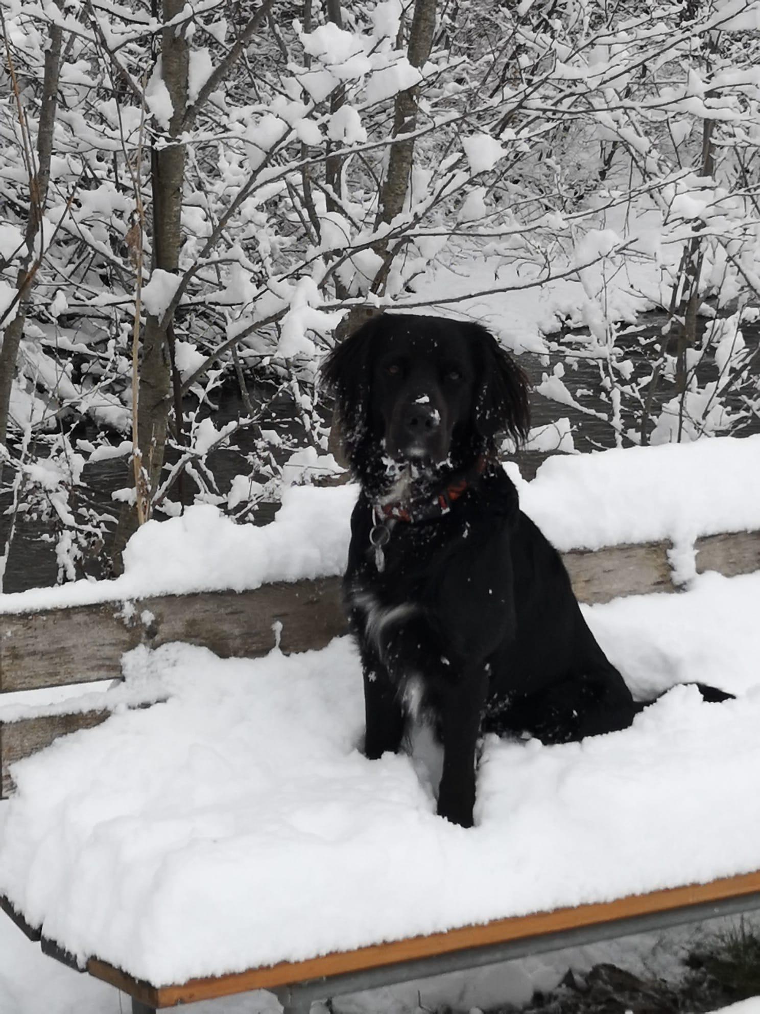 Sioux im Winter Sioux im Winter