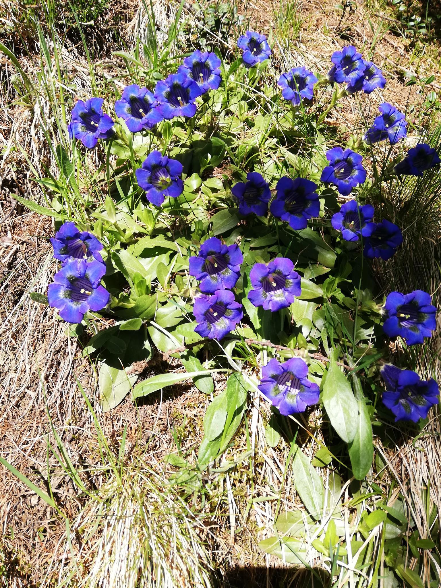 __Mai 2021 (10) __Mai 2021 (10)