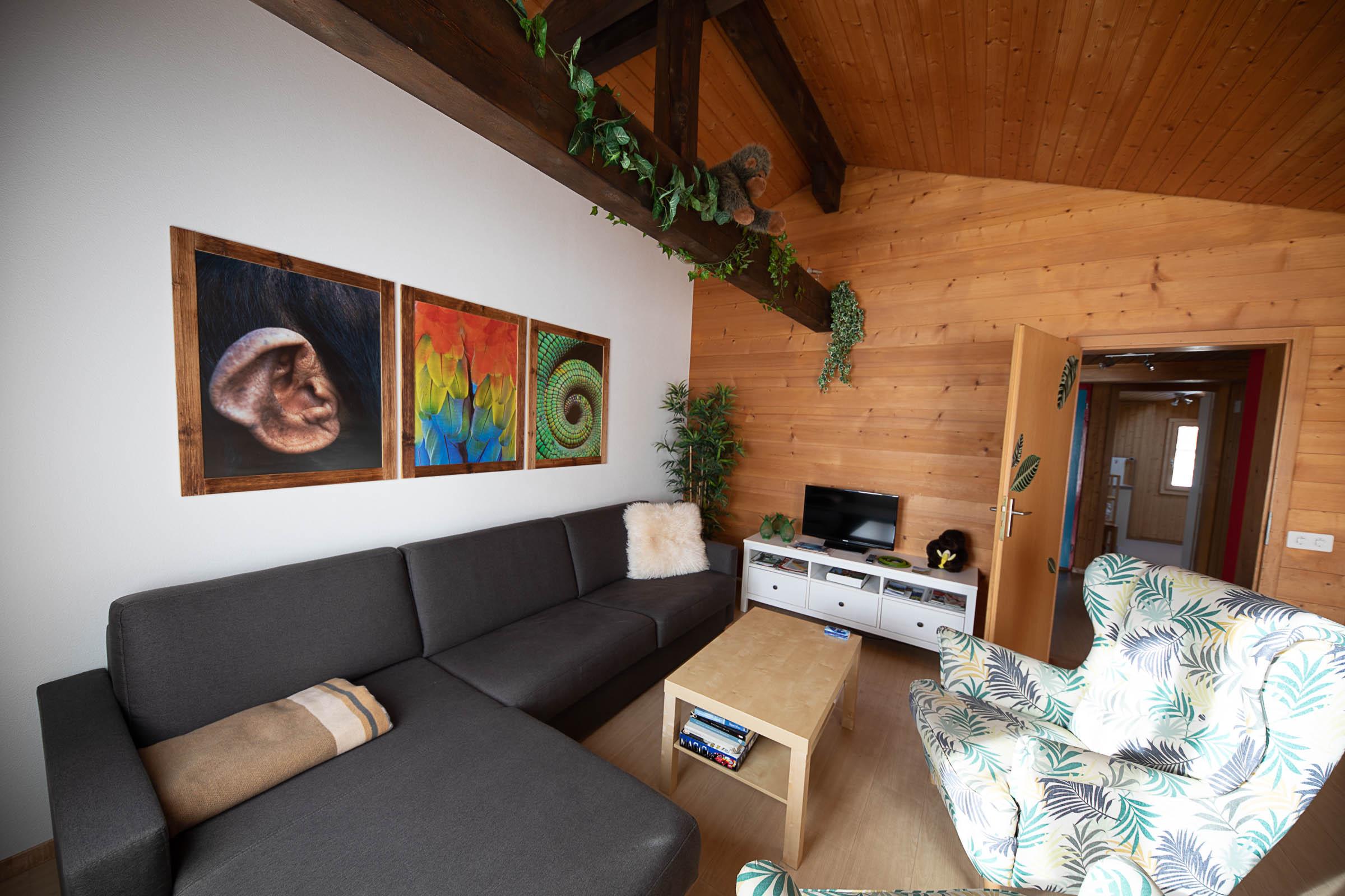 Der Wohnraum mit dem Auszugsofa Der Wohnraum mit dem Auszugsofa