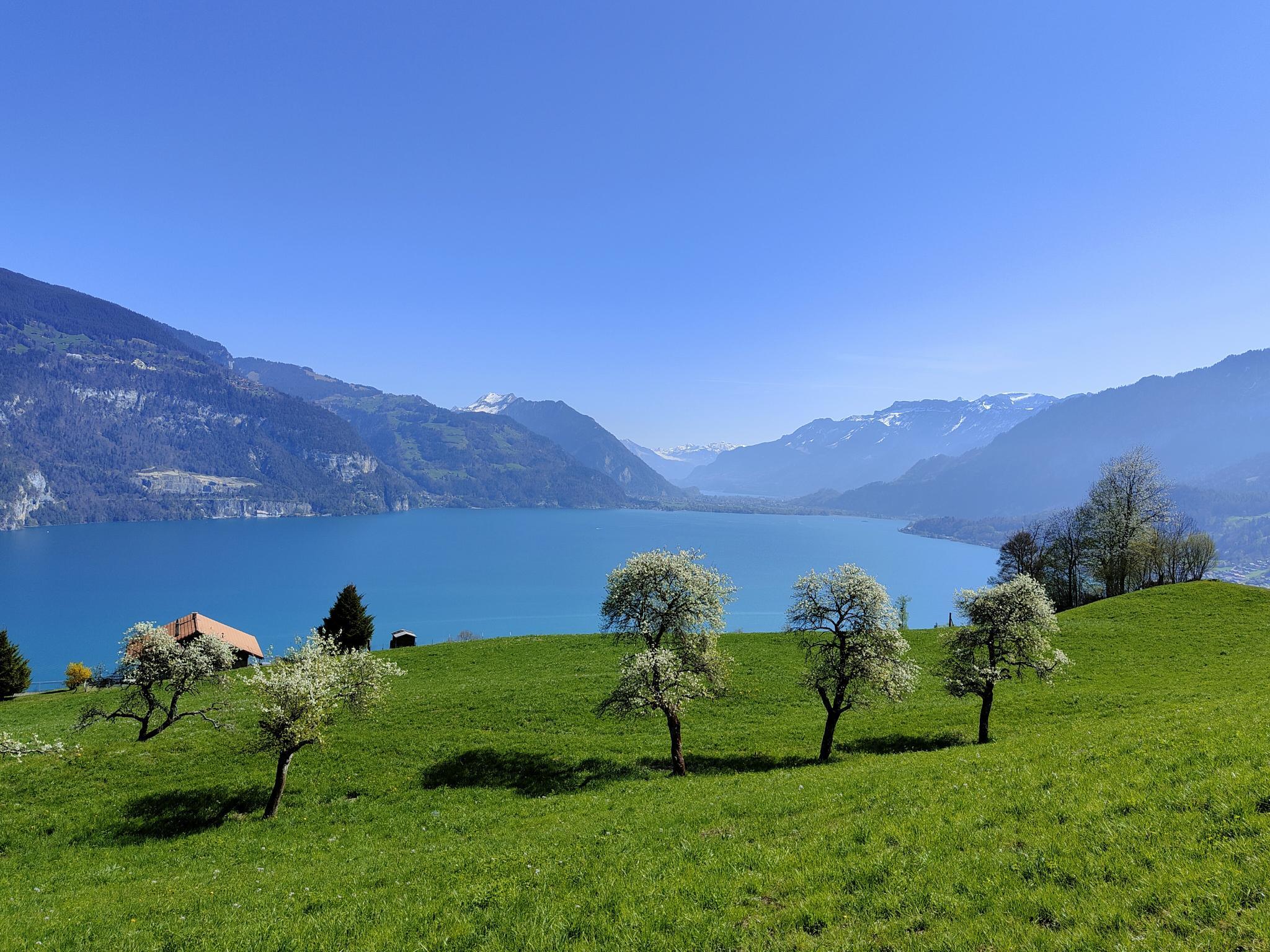 IMG20220417113224 IMG20220417113224