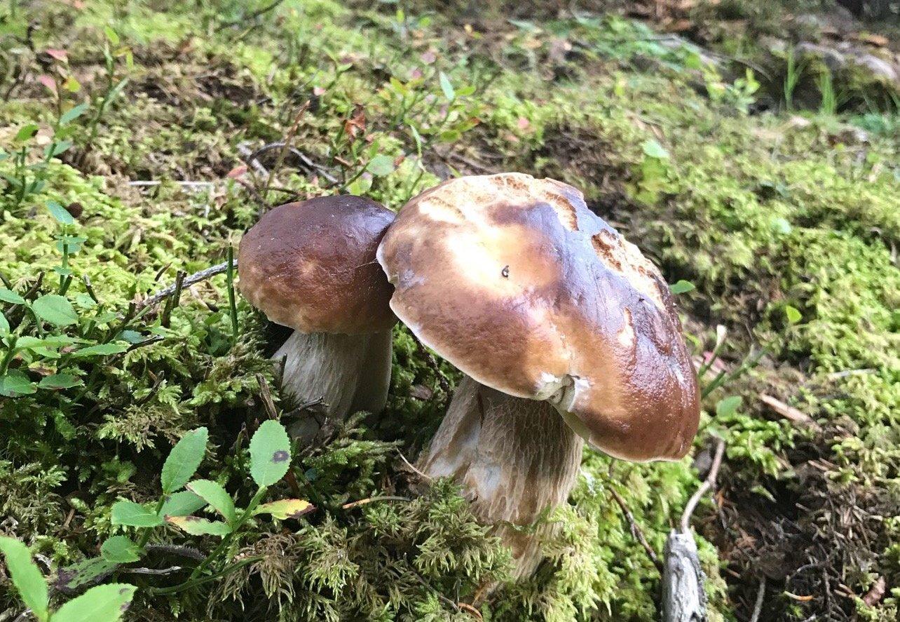 ä schöne Fang! (Fabi) ä schöne Fang! (Fabi)