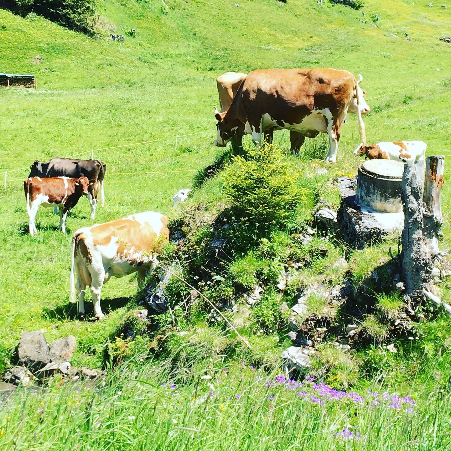 Natur pur! Natur pur!