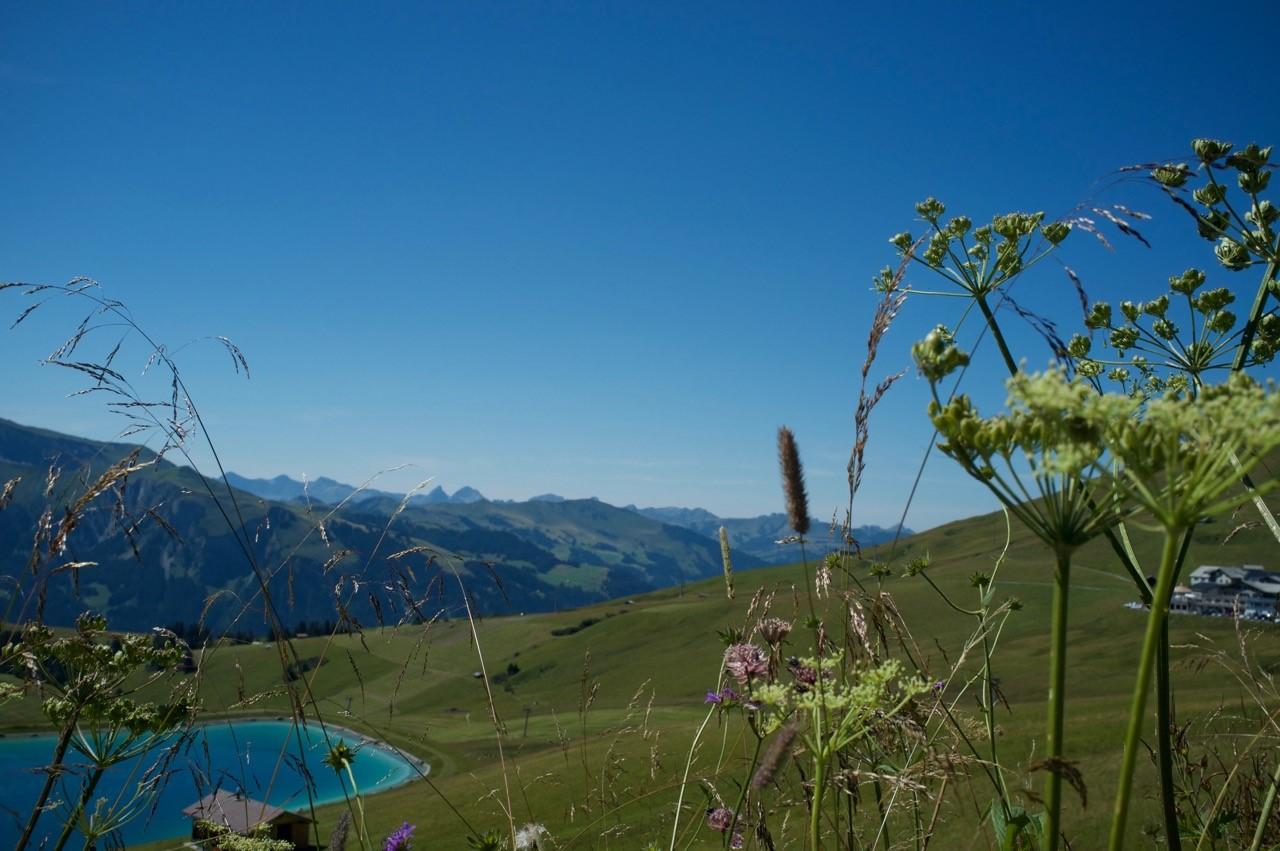 Hahnenmossseeli Hahnenmossseeli