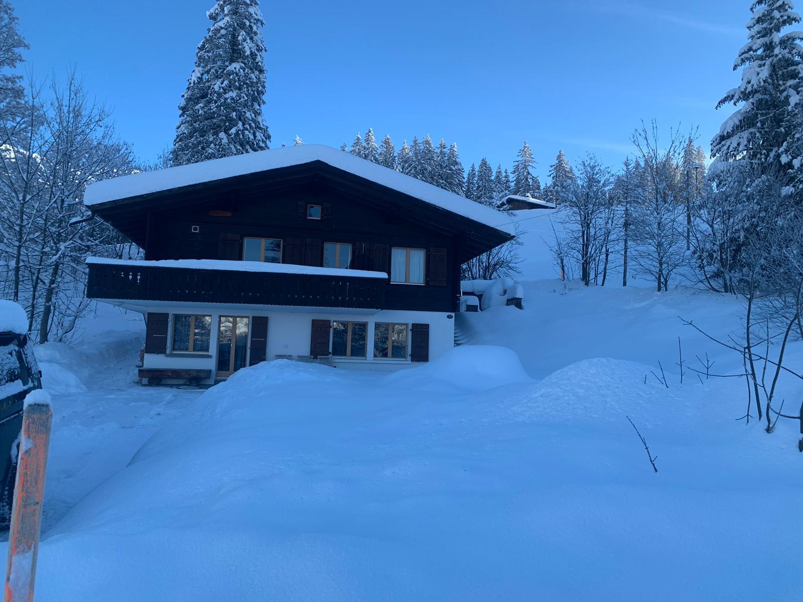 4fa39a36-e08c-4e42-a694-0ed886073c96 4fa39a36-e08c-4e42-a694-0ed886073c96