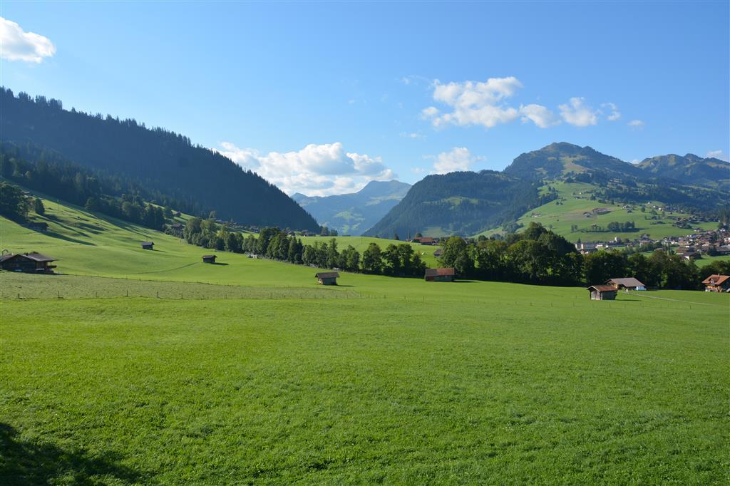 Aussicht (2) Aussicht (2)