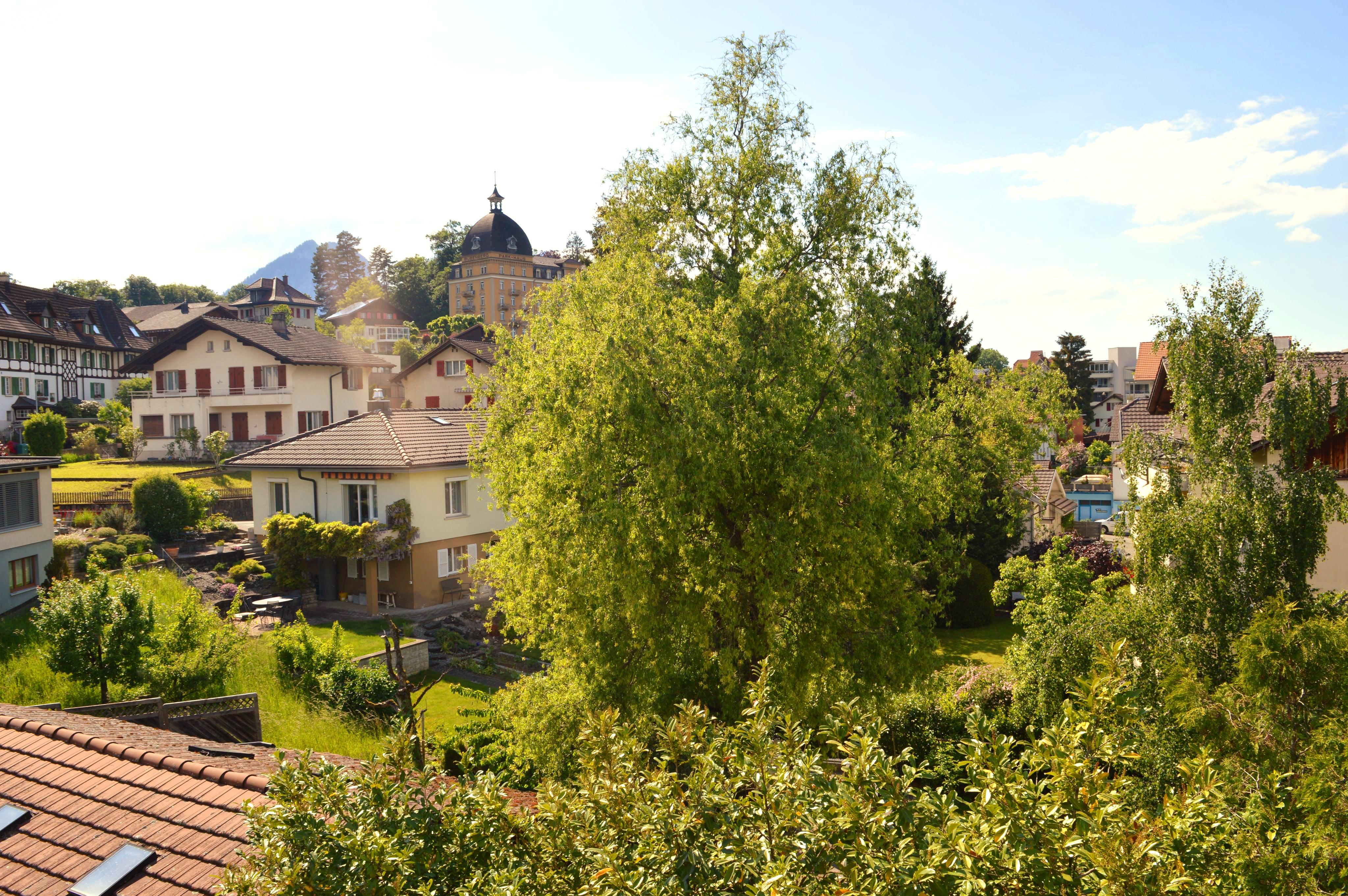 1000018057 1000018057