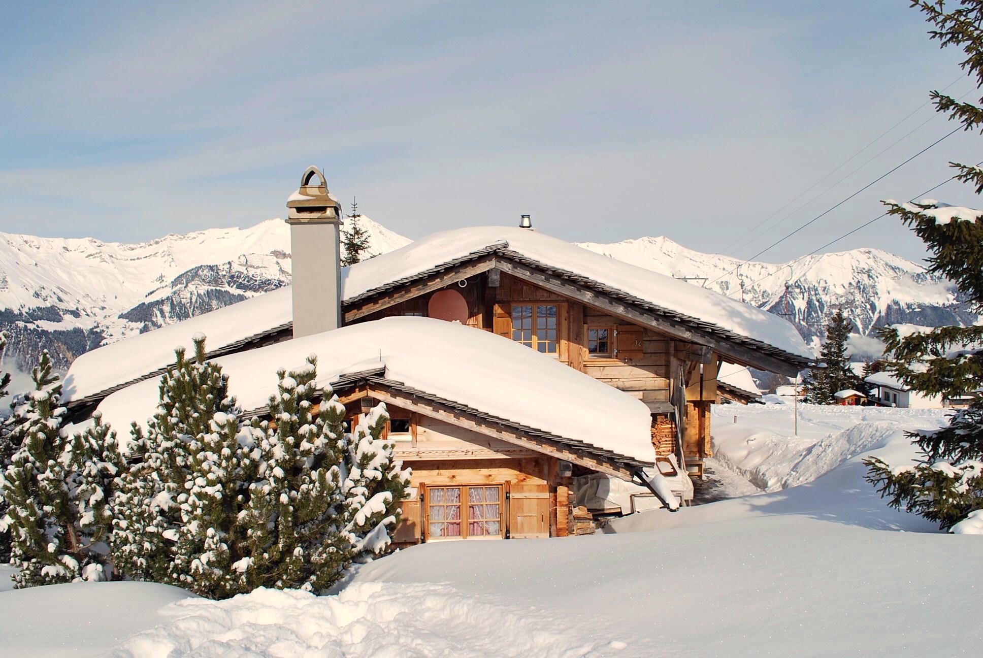 Bärgblüemli Bärgblüemli