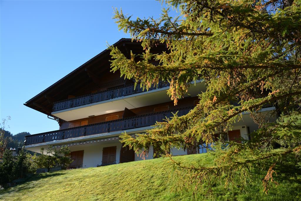 Hornflue (2) Hornflue (2)