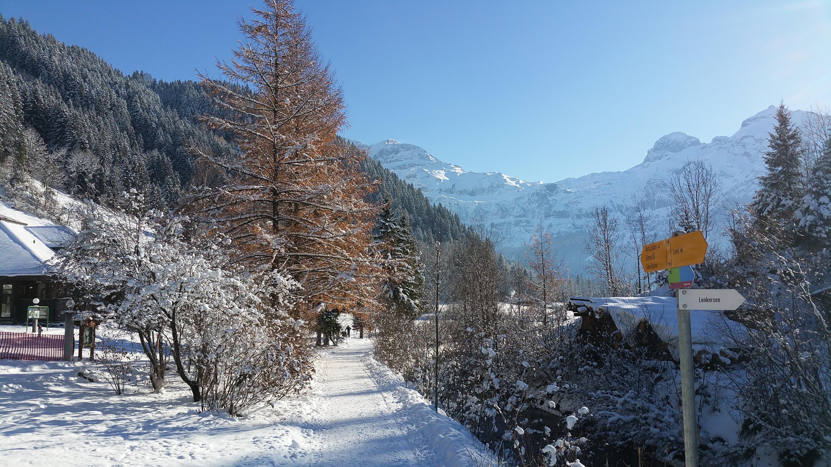 20171203_121236 20171203_121236