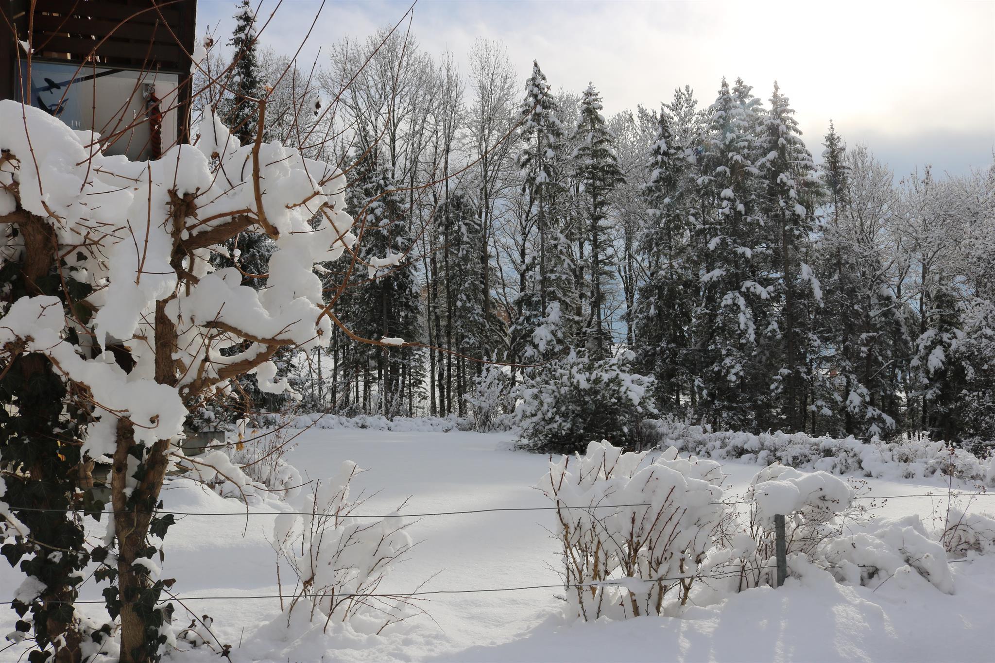 Spielplatz am Lee im Winter Spielplatz am Lee im Winter