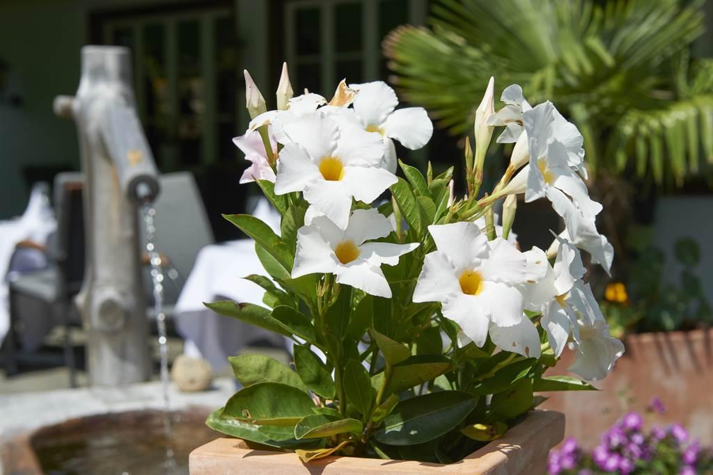 Wohlfühlambiente Wohlfühlambiente