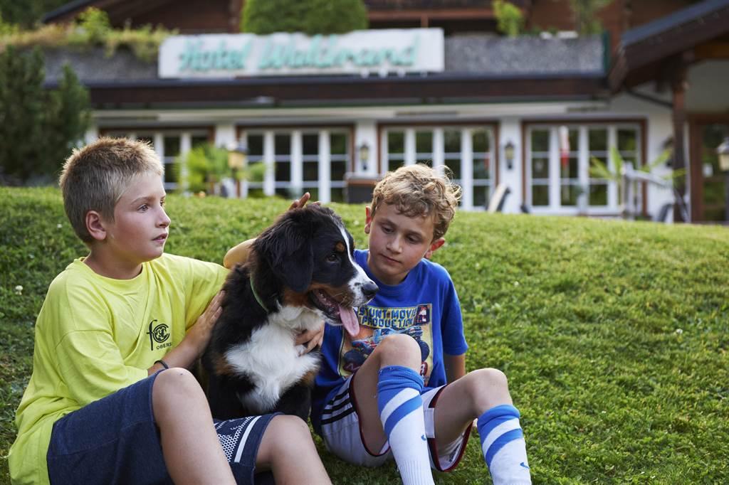 Hunde herzlich willkommen Hunde herzlich willkommen