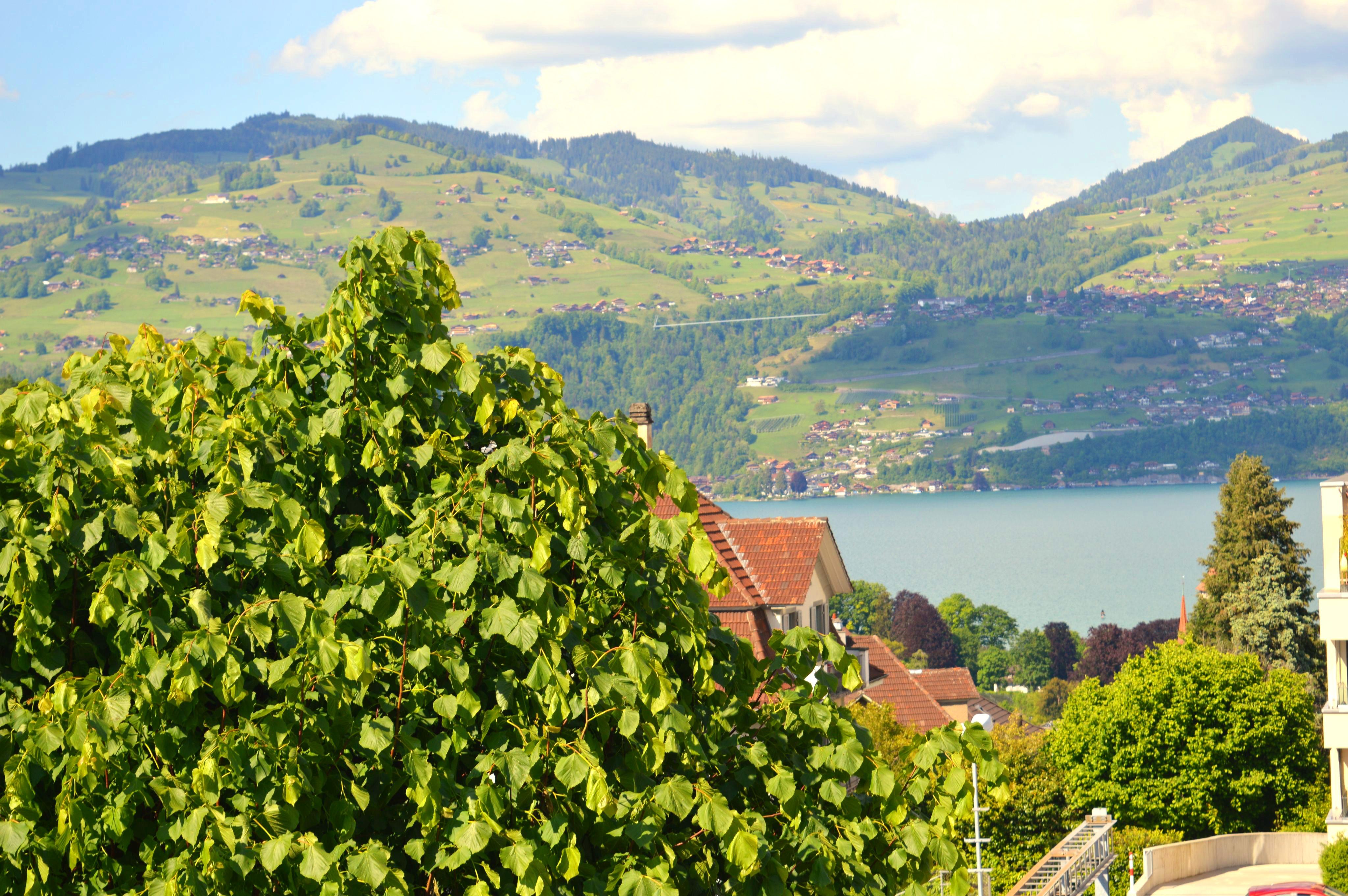 1000018059 1000018059