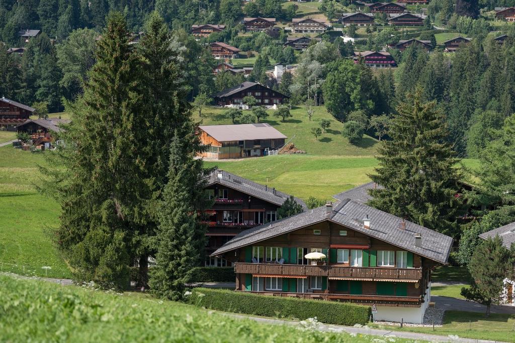 Les Silenes 6-Bettwohnung Ferienwohnung  Gstaad