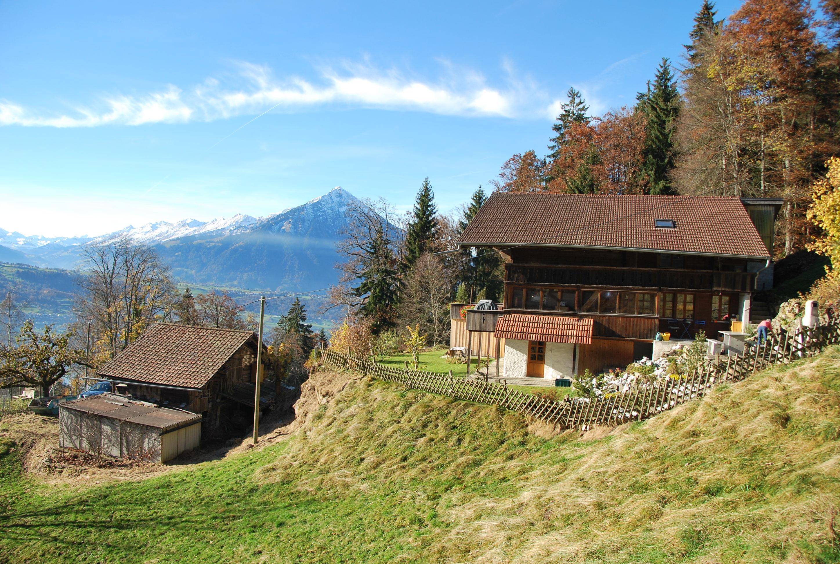 Seitenansicht Sommer. Seitenansicht Sommer.