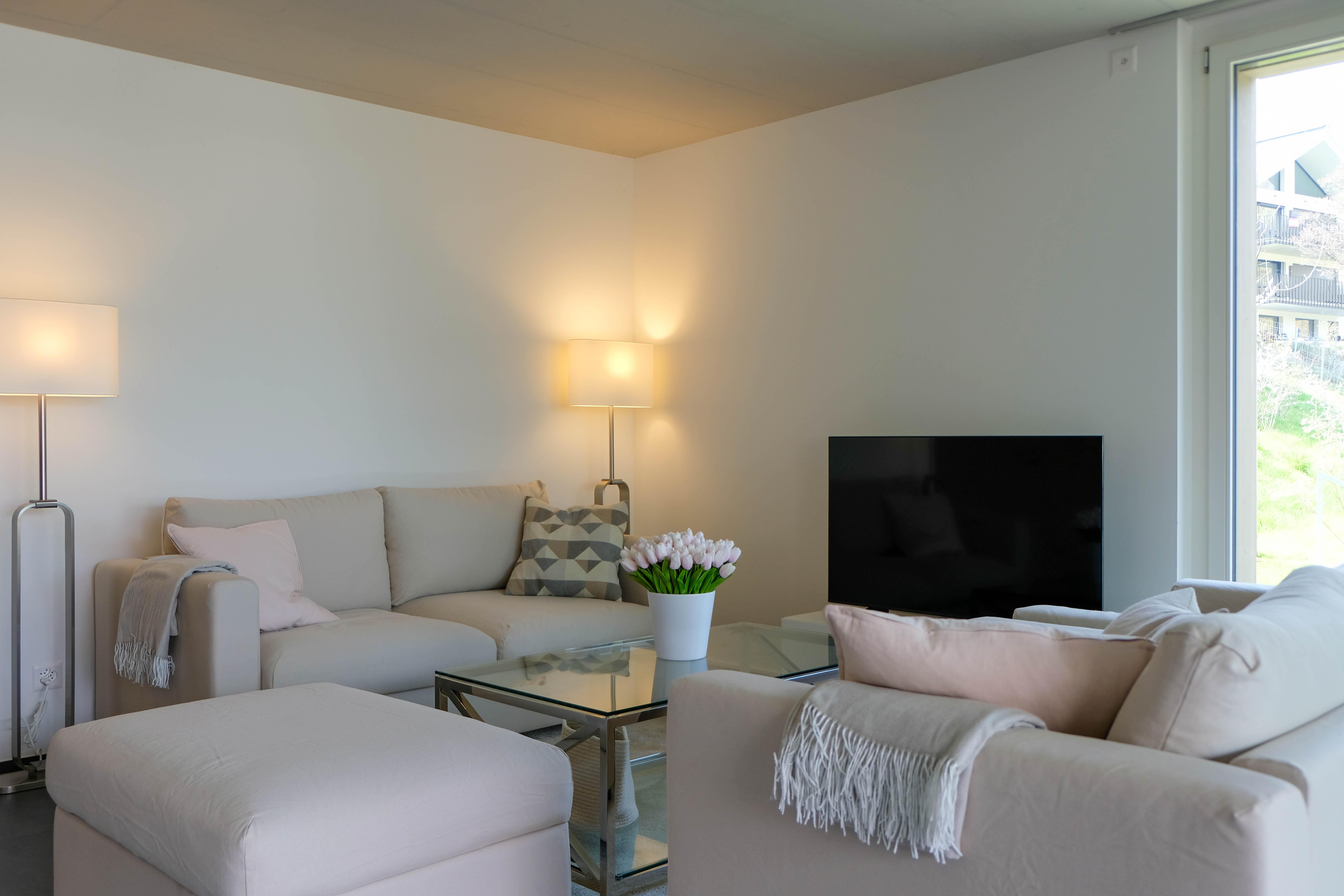 wohnzimmer (4) wohnzimmer (4)