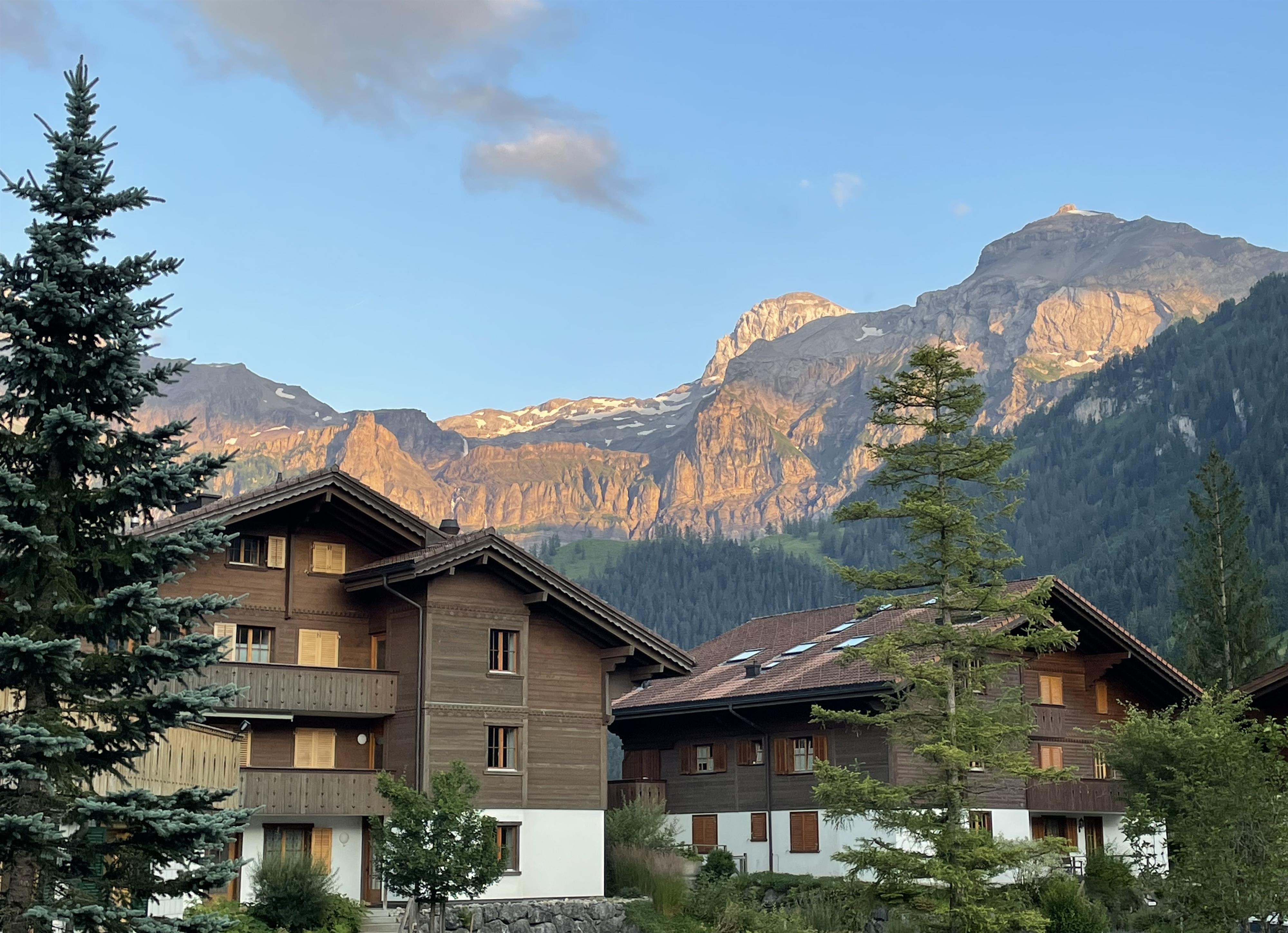 Aussicht im Sommer,2 Aussicht im Sommer,2