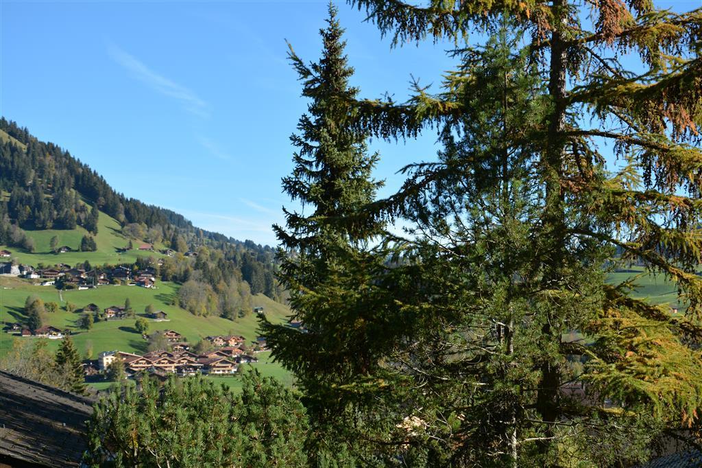 Aussicht (5) Aussicht (5)