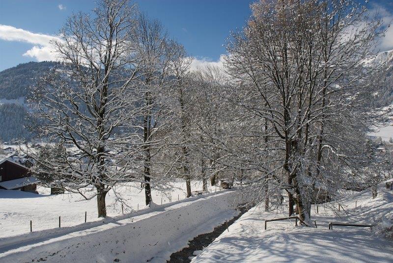 Aussicht über den Bach Aussicht über den Bach