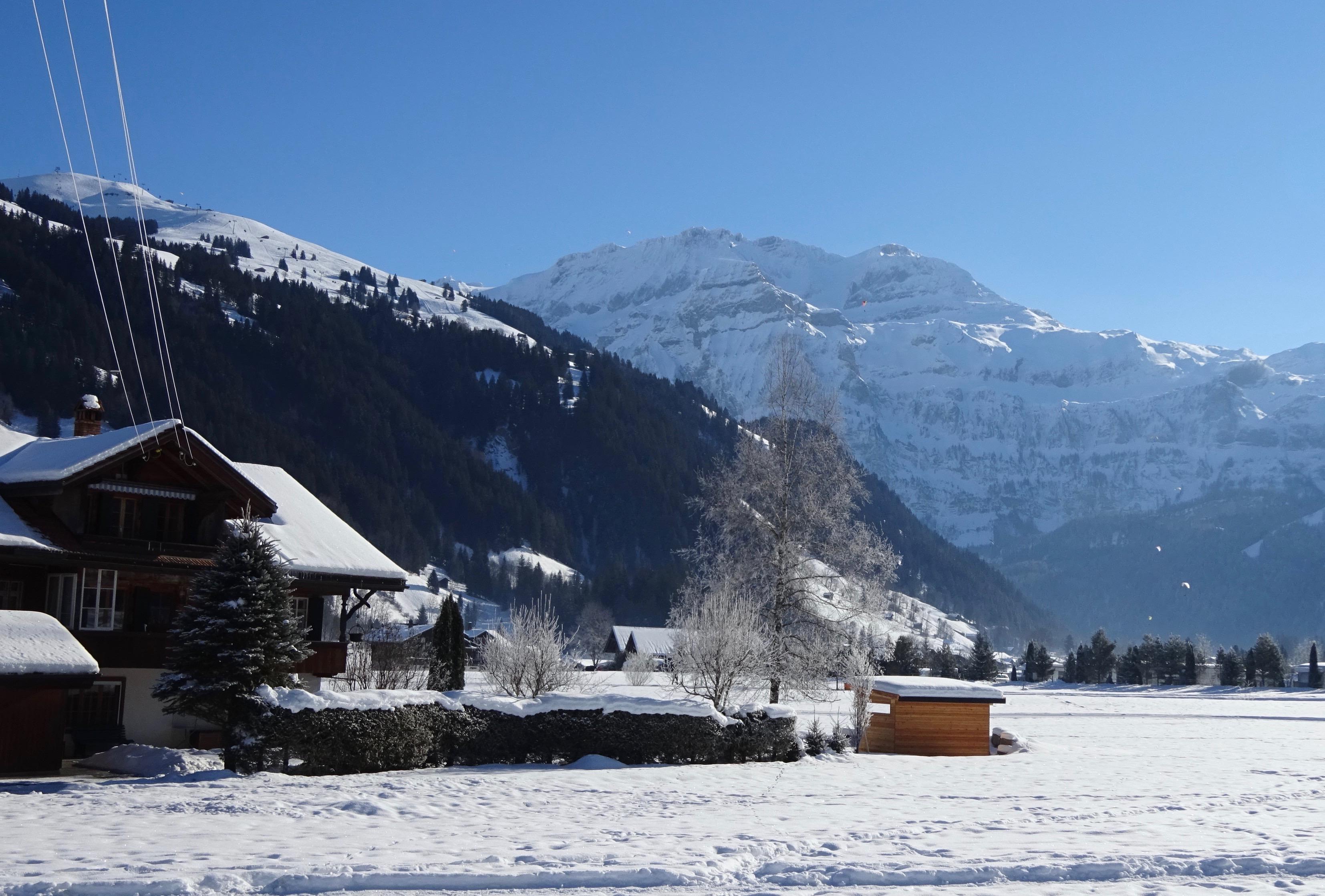 Neue Gartenanlage im Winter Neue Gartenanlage im Winter