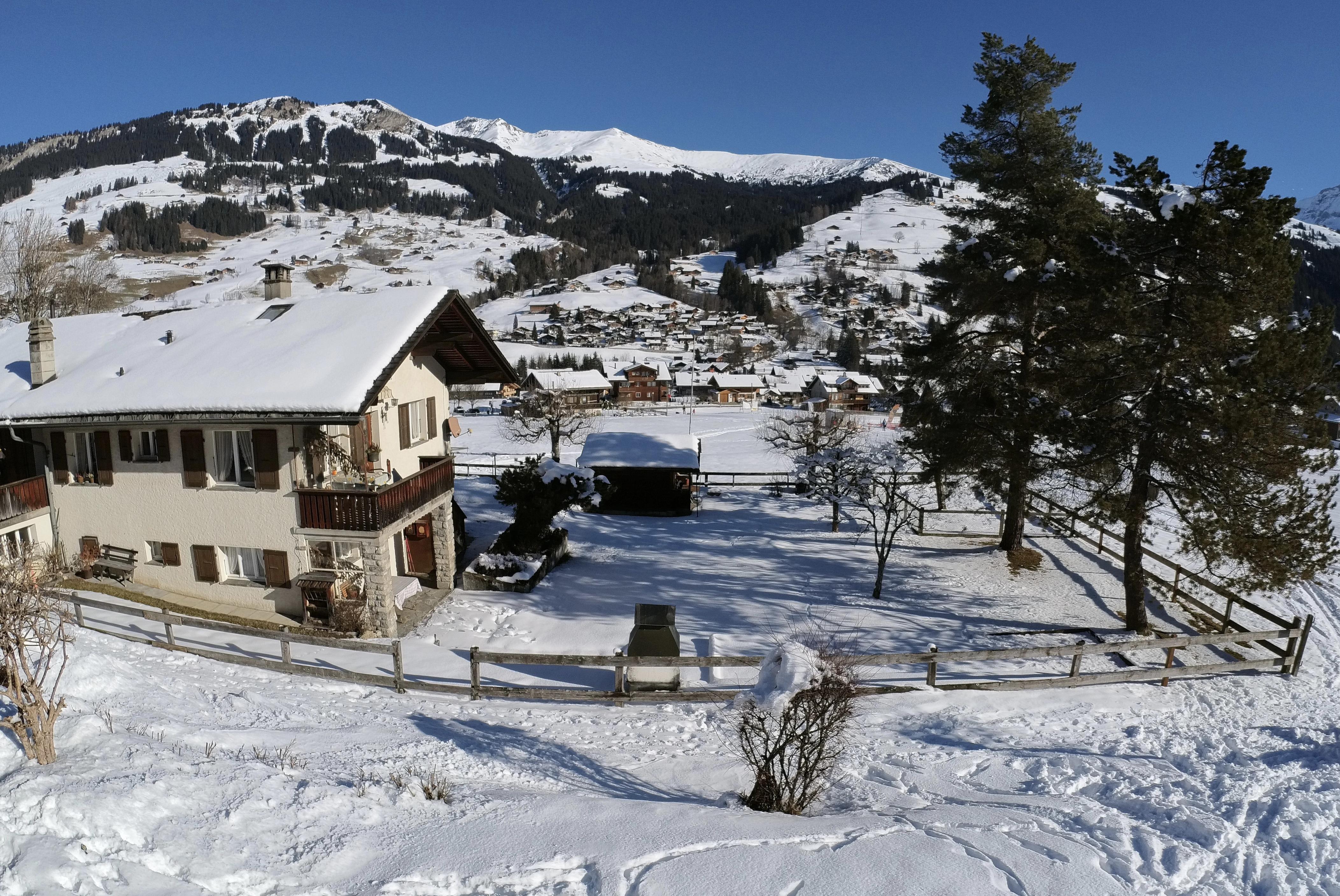 IMG_20220115_131225_102 IMG_20220115_131225_102