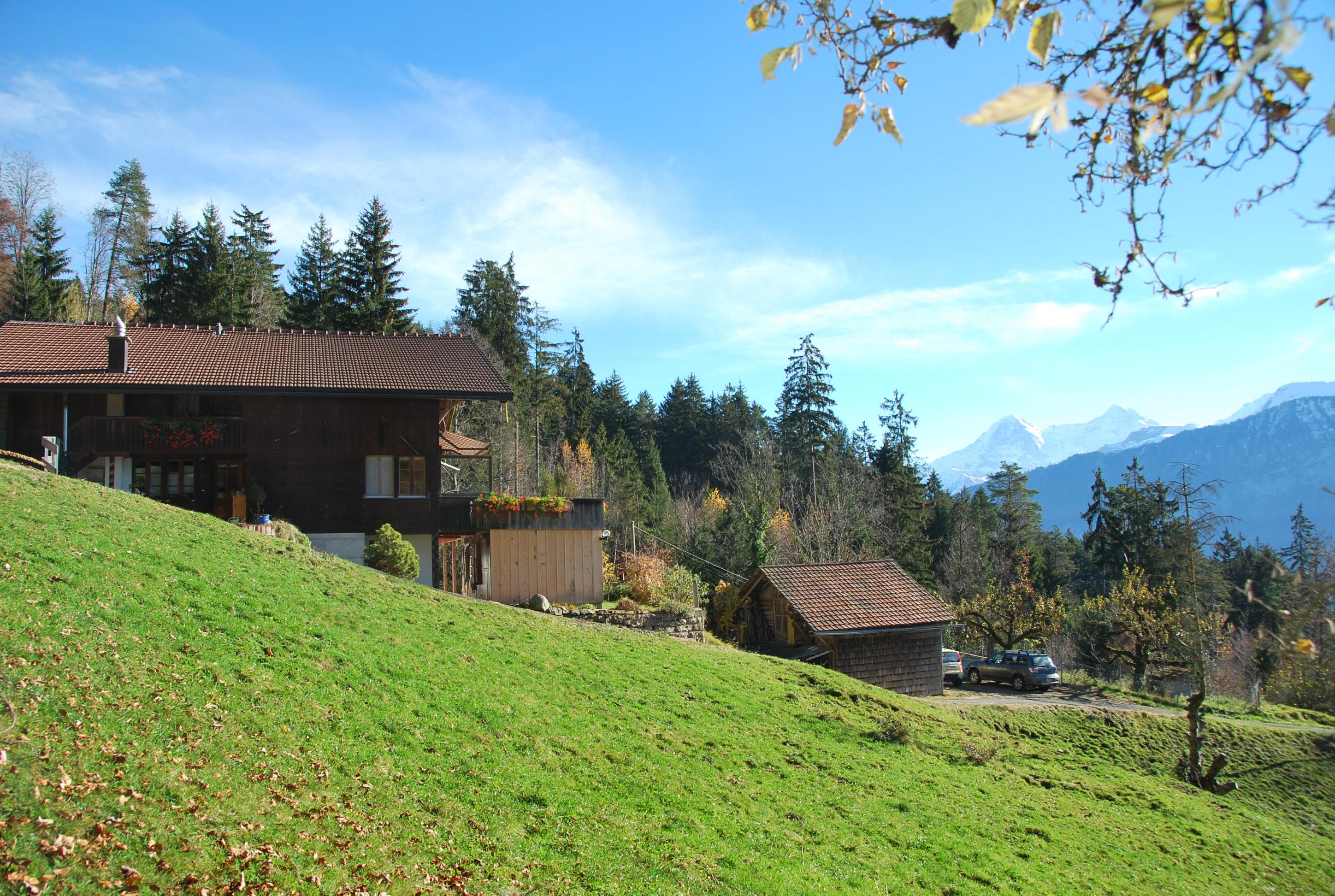 Seitenansicht Sommer Seitenansicht Sommer