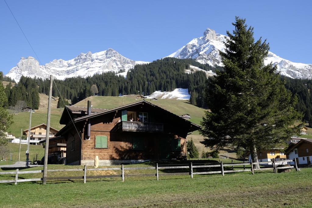 Chalet Wildrösli Chalet Wildrösli