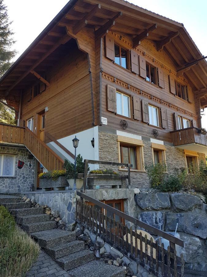 Aussenansicht 3 Aussenansicht 3