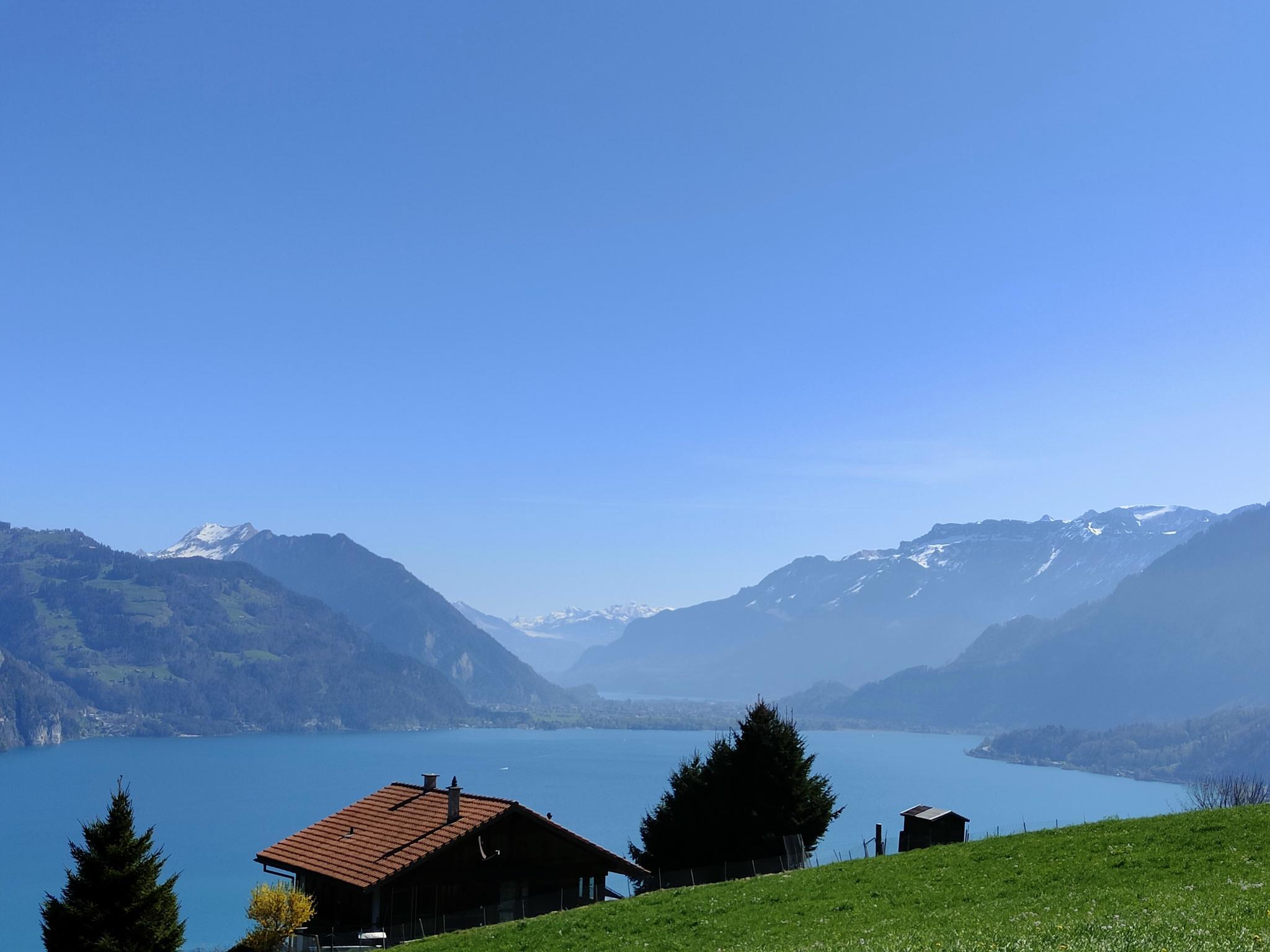 IMG20220417112813 IMG20220417112813