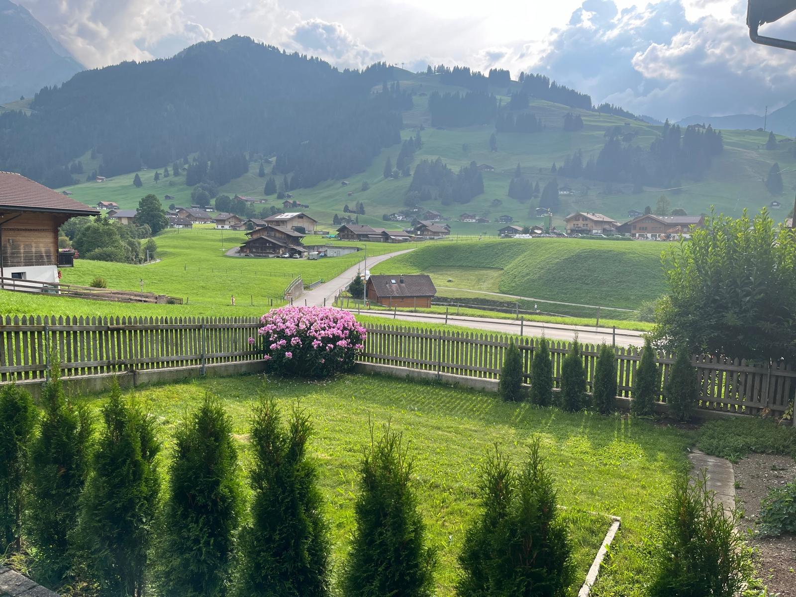 Aussicht Sommer Aussicht Sommer