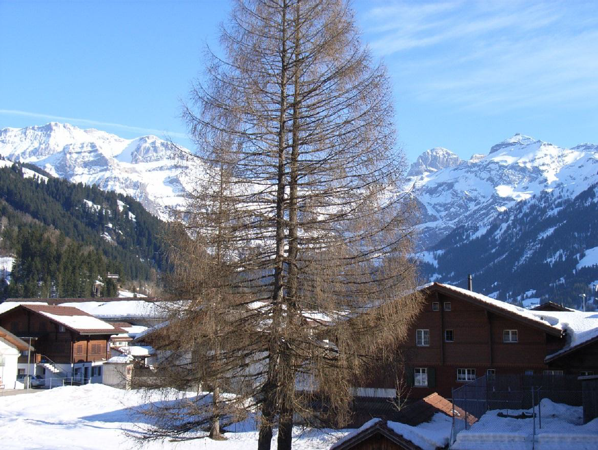 Aussicht im Winter Aussicht im Winter