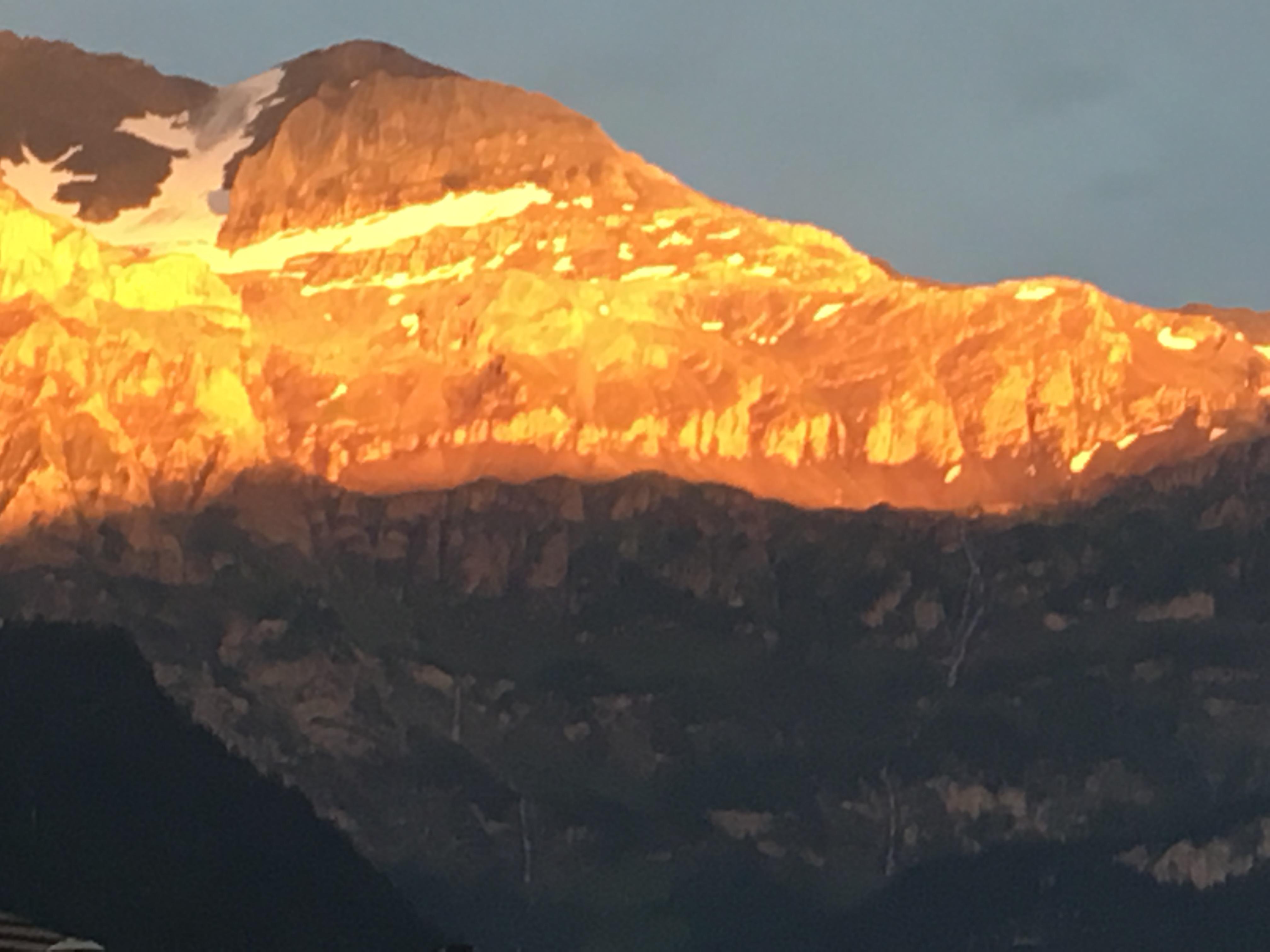 Goldiger Wildstrubel Goldiger Wildstrubel