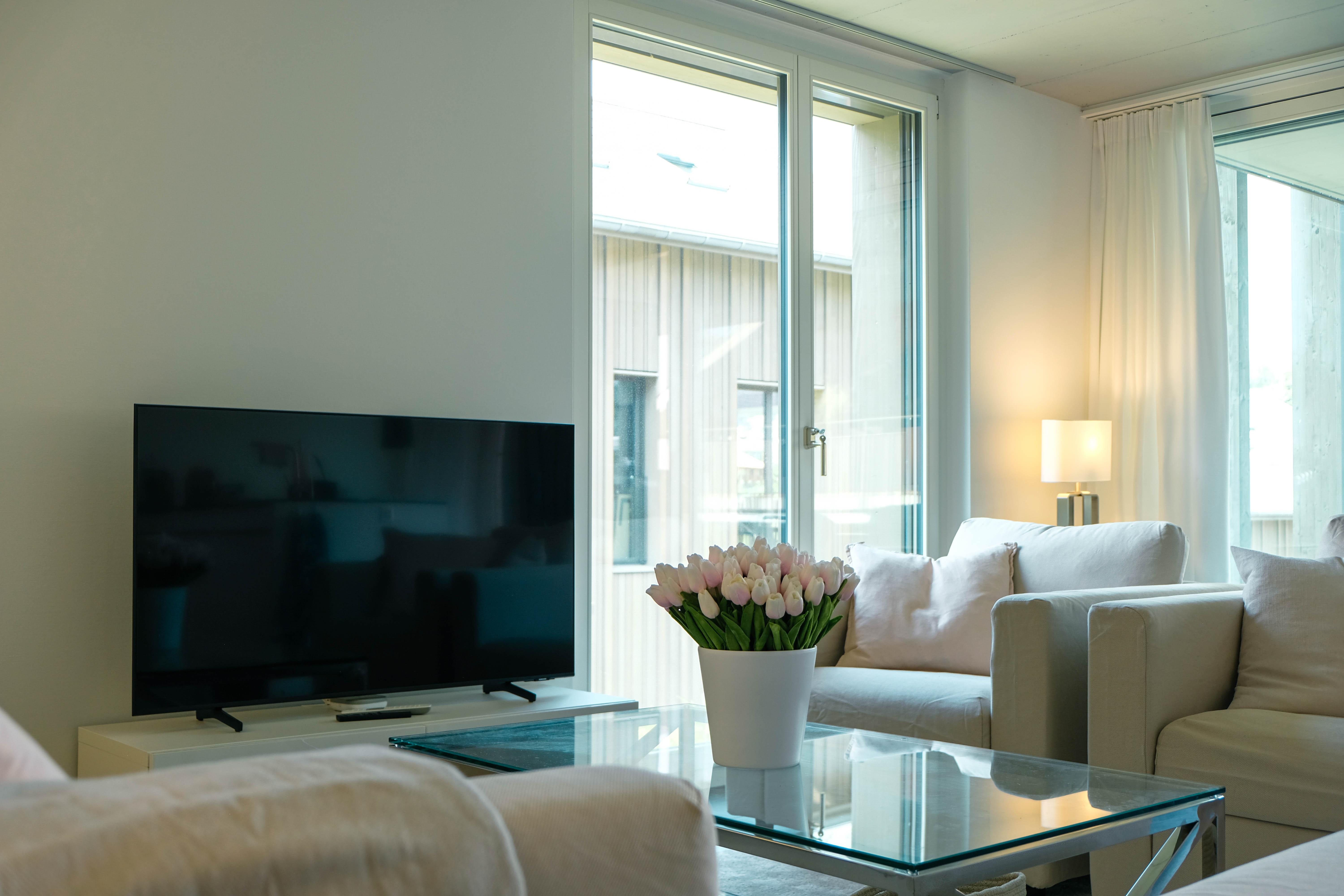 wohnzimmer (3) wohnzimmer (3)