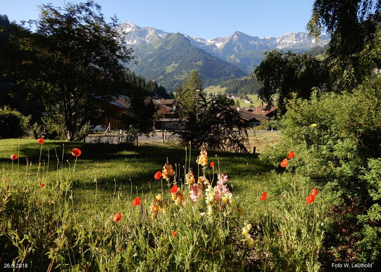Am Brüggli, (Gastfoto) Am Brüggli, (Gastfoto)