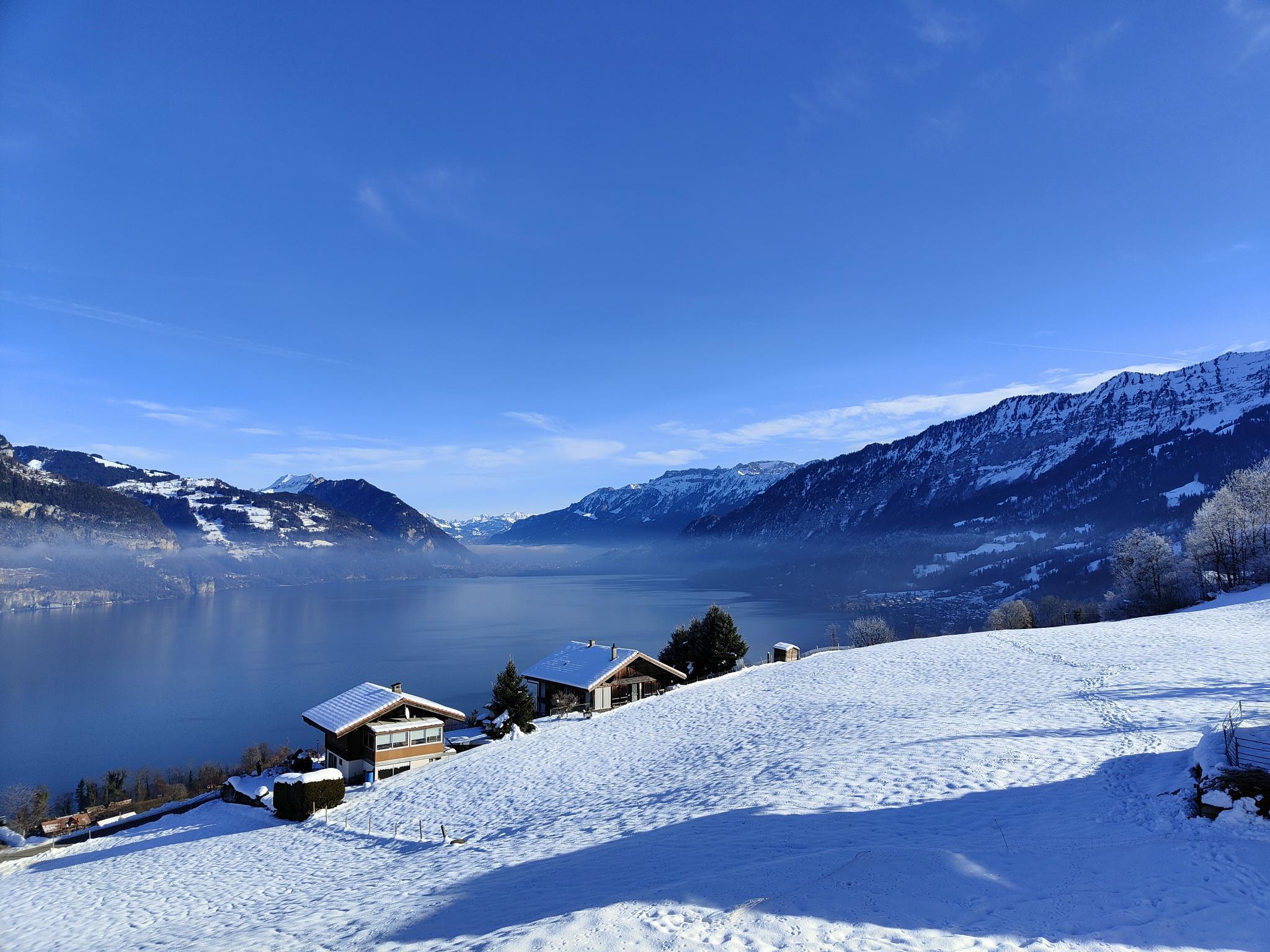 IMG20211223115405(1) IMG20211223115405(1)