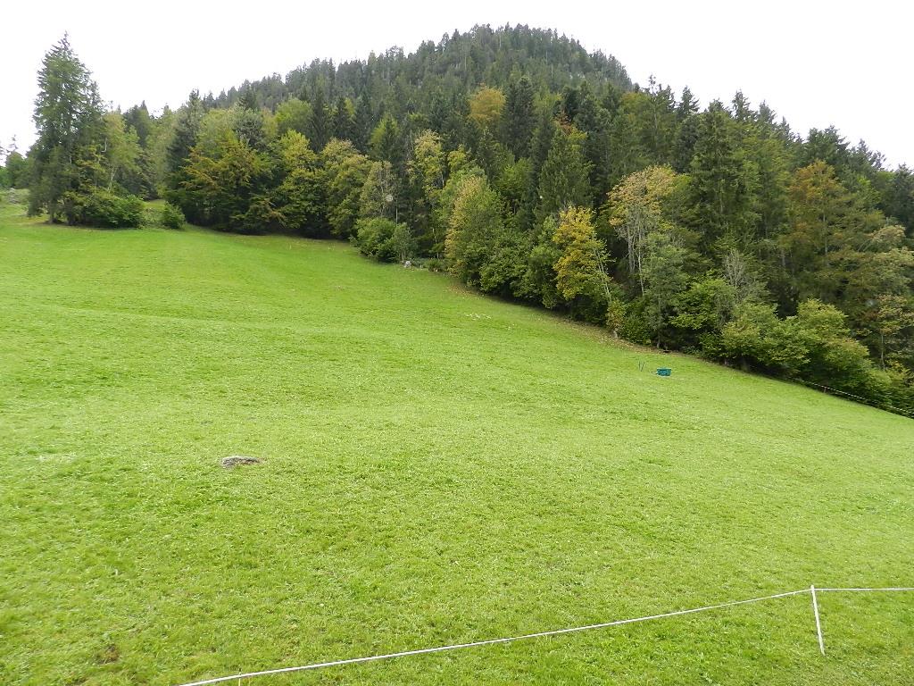 Aussicht 5 Aussicht 5