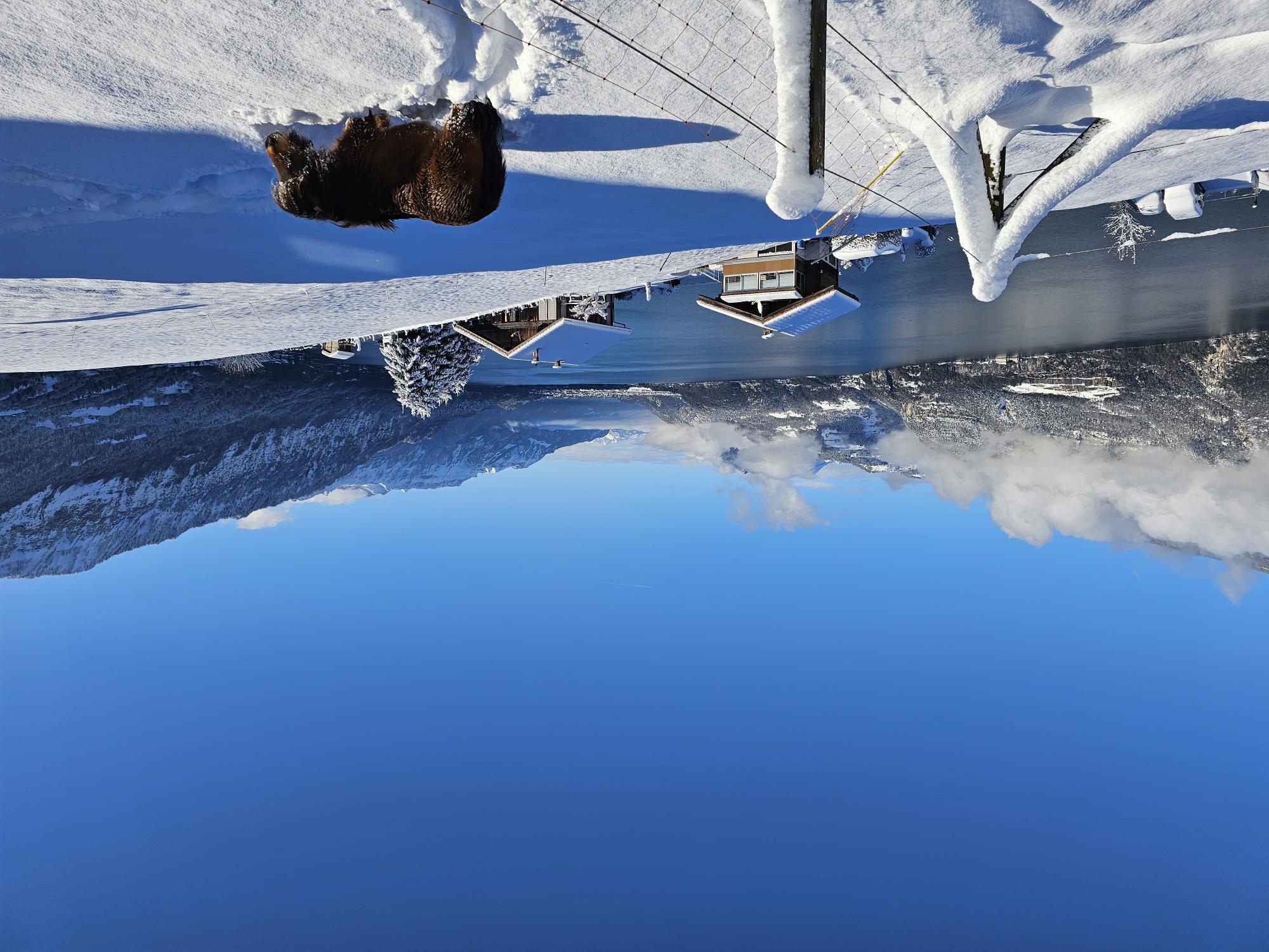 20241224_112555(1) 20241224_112555(1)