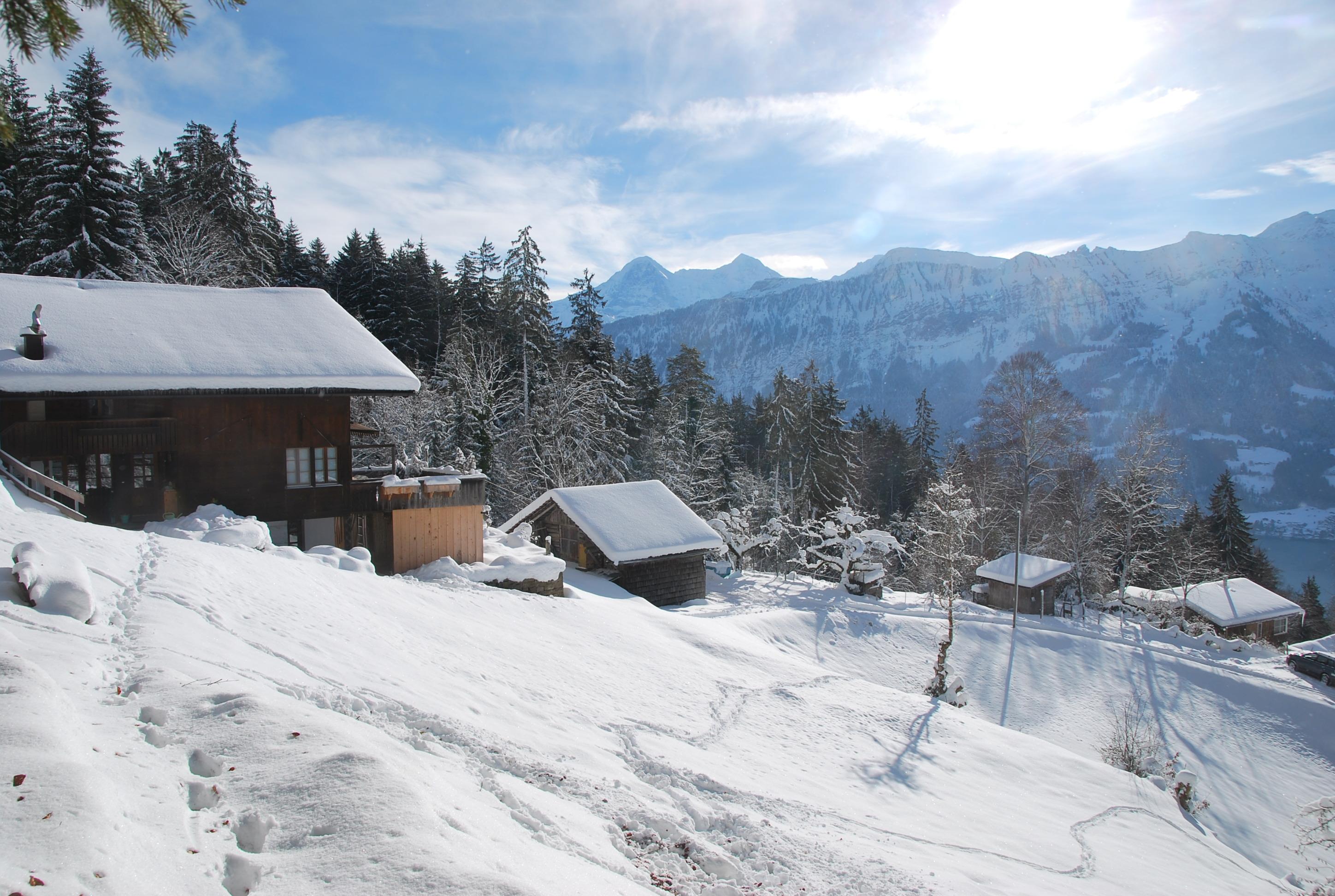 Seitenansicht Winter Seitenansicht Winter