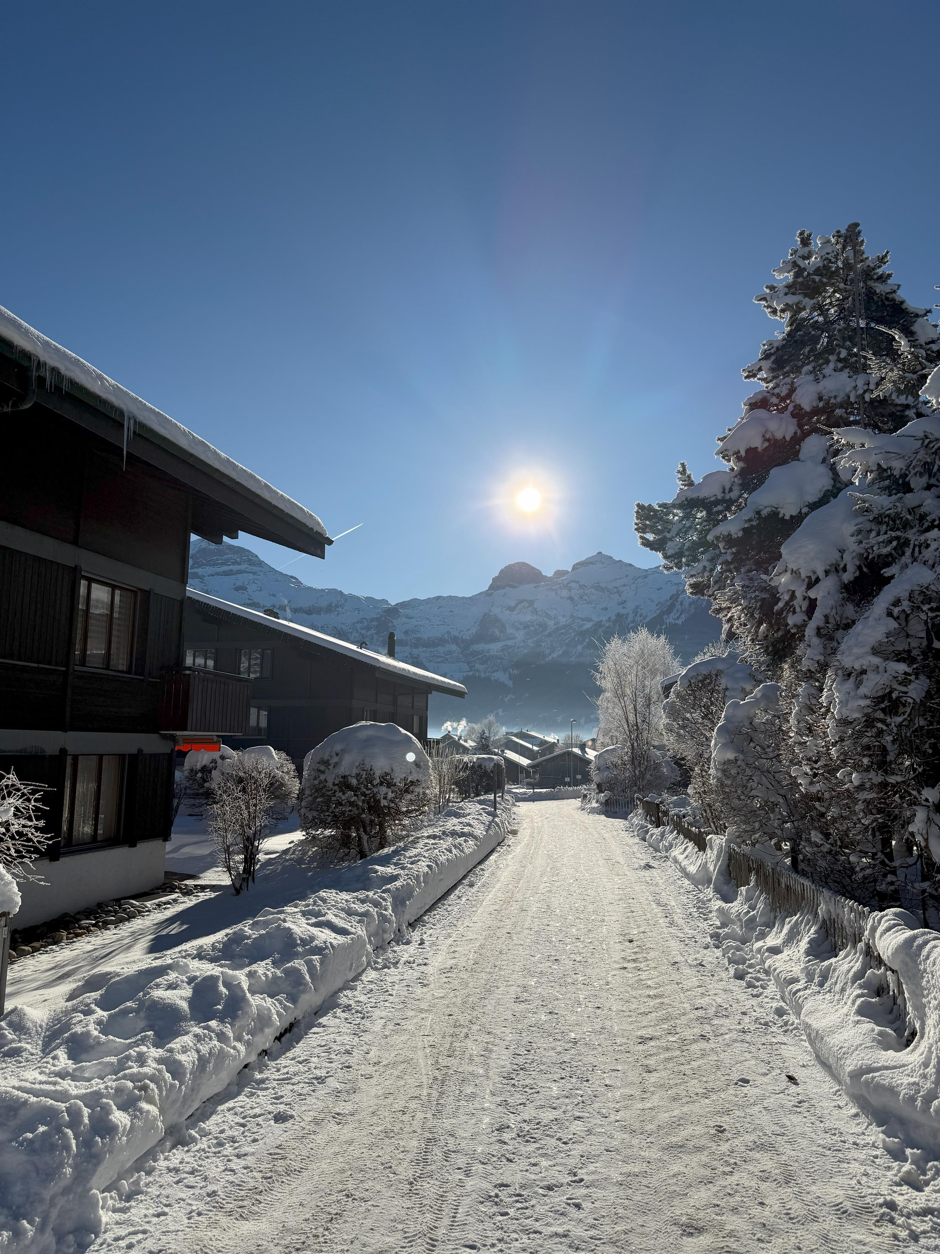 Weg ins Dorf Weg ins Dorf